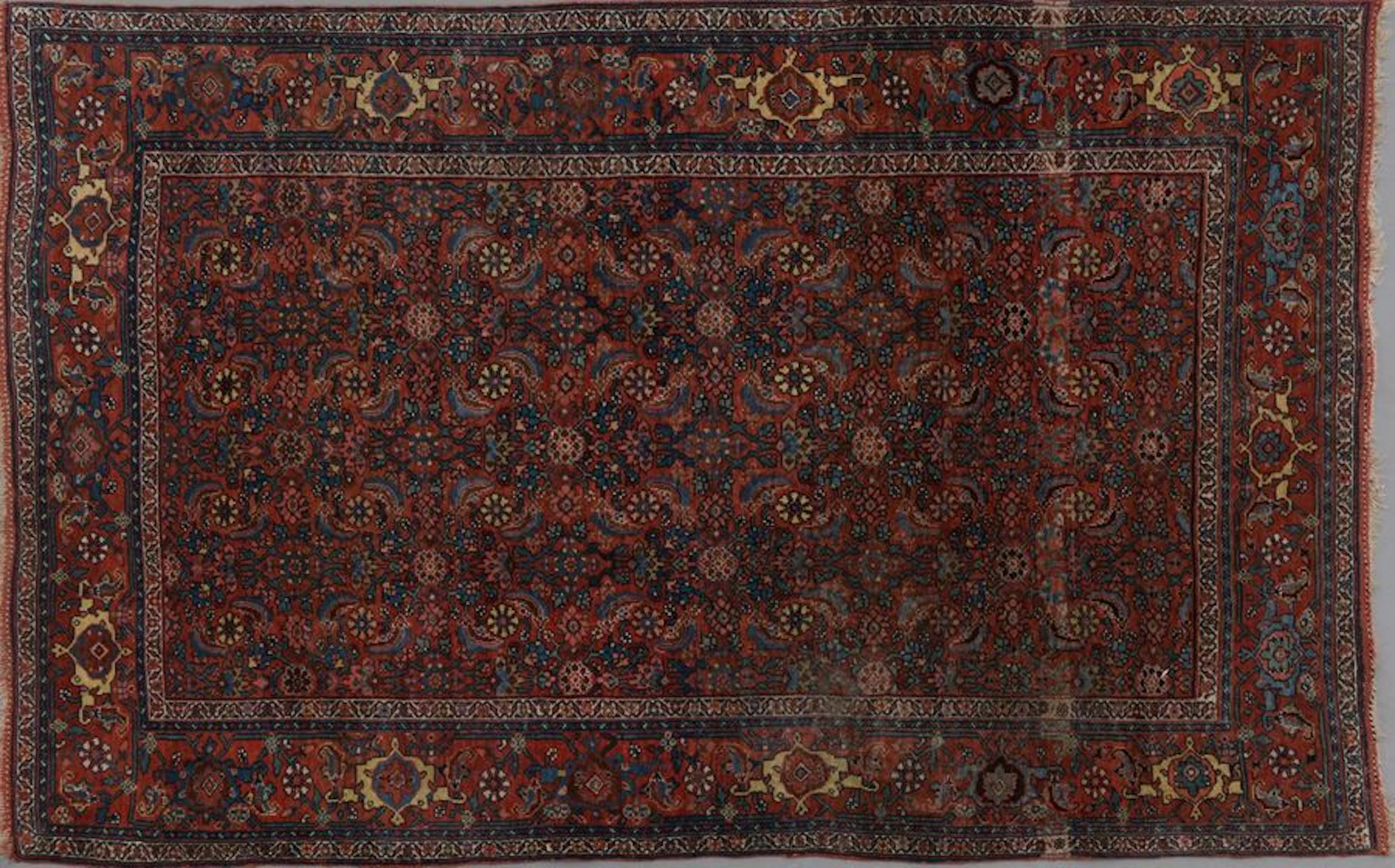 Tapis Bidjar en velours de laine sur fondations...
