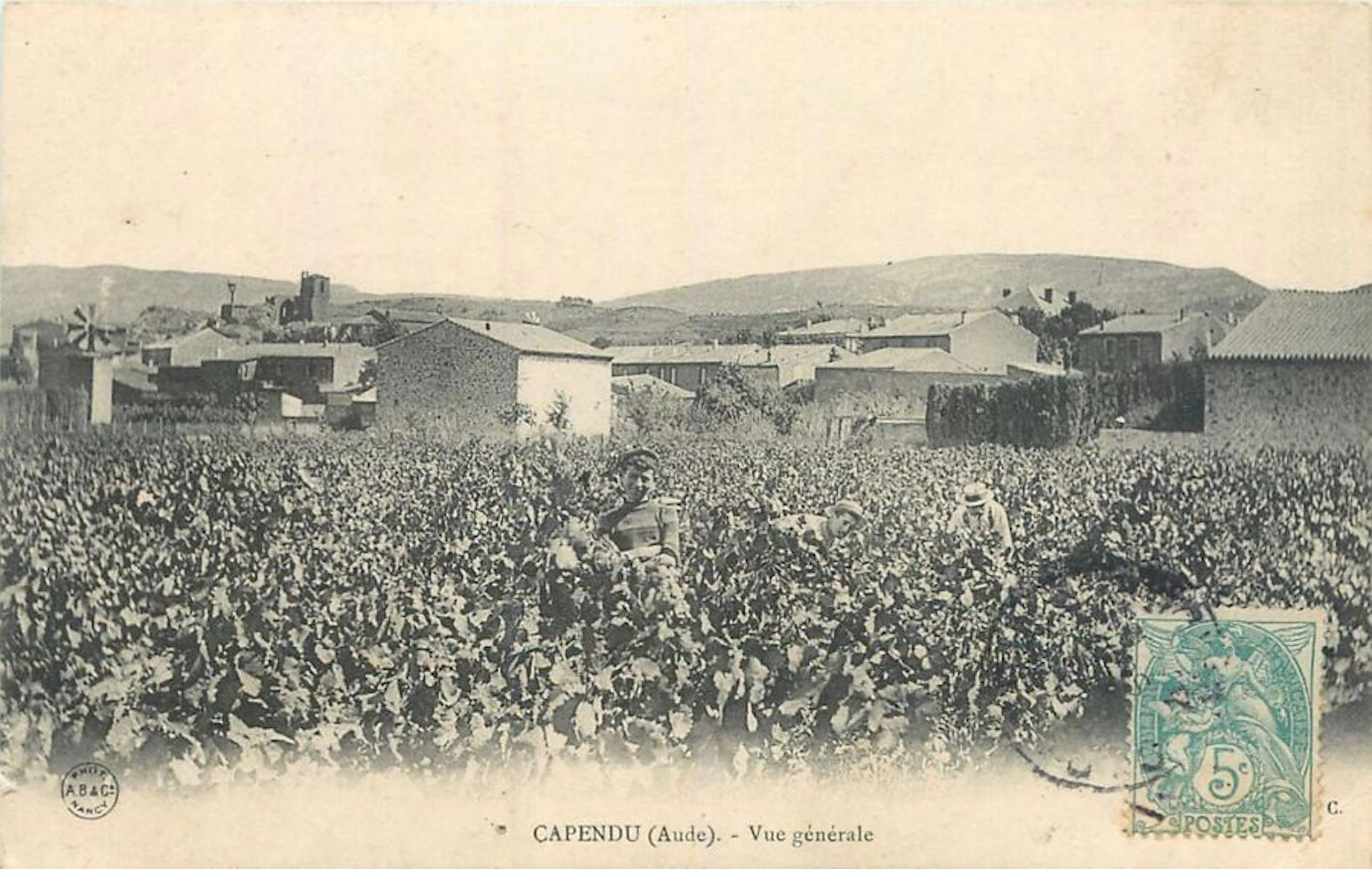 18 CARTES POSTALES ALCOOL : Les Vignes et…