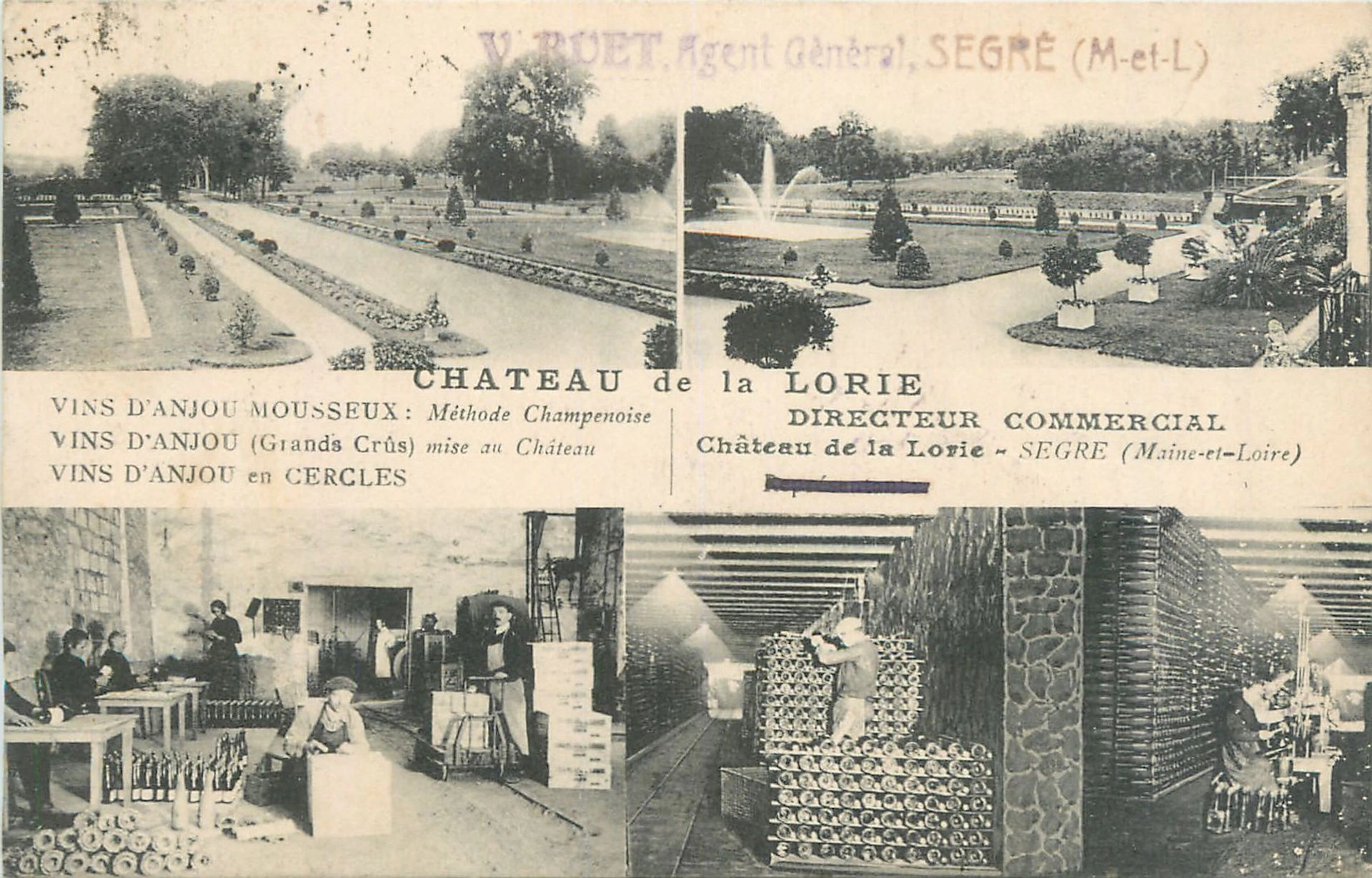 10 CARTES POSTALES ALCOOL : Vins, Cidre et... - Lot 2 - Morand & Morand