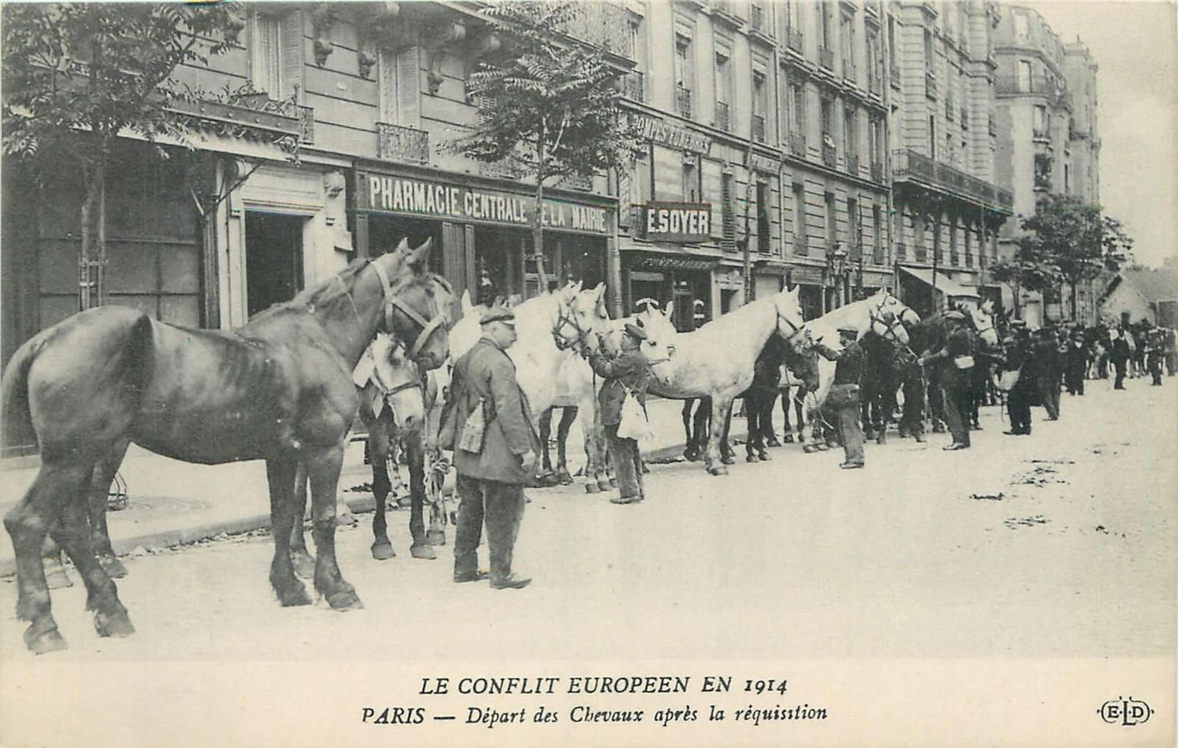 5 CARTES POSTALES MILITARIA : Sélection.... - Lot 179 - Morand & Morand