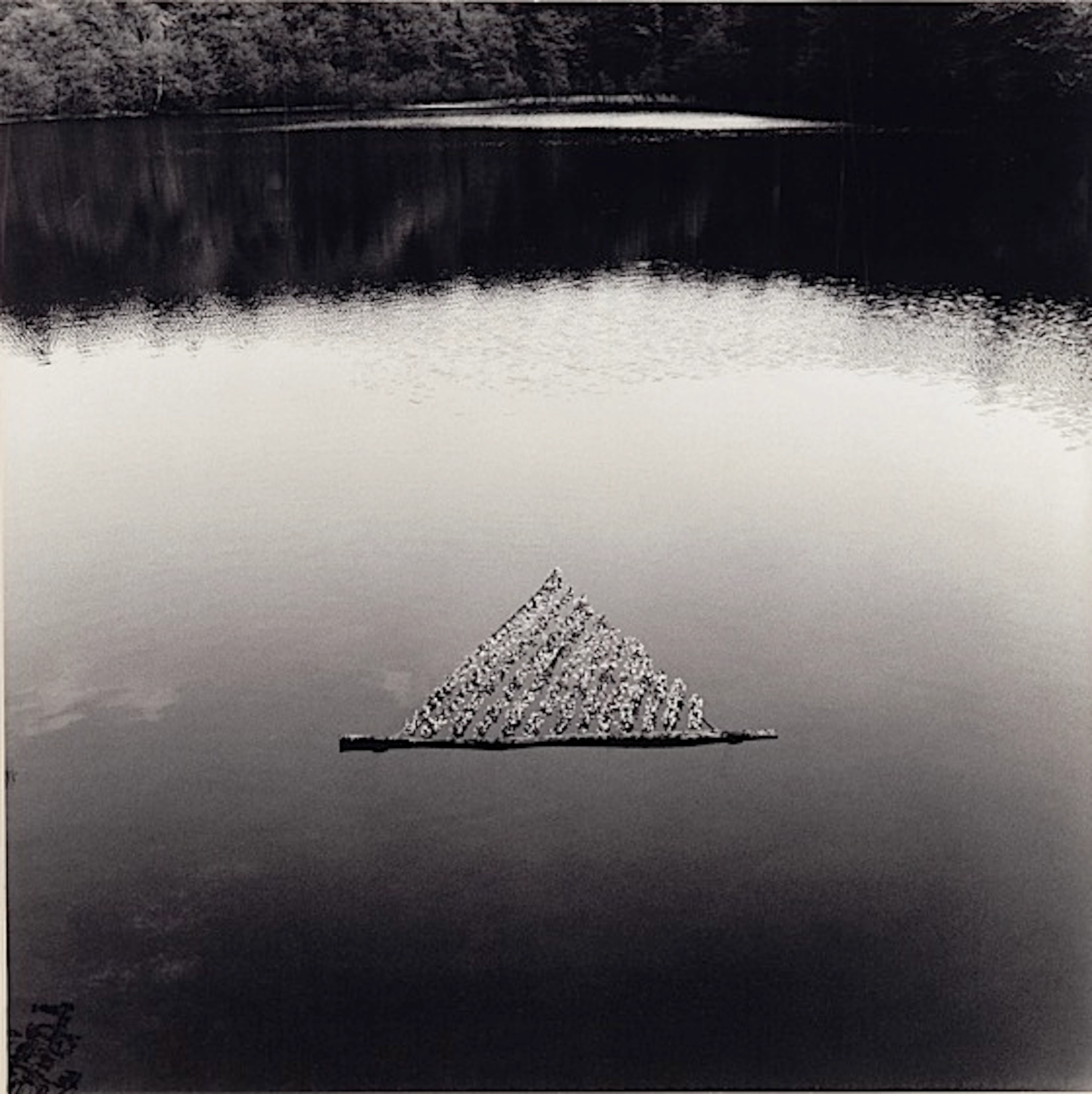 NILS UDO () CERISIER SAUVAGE, FRENE photographie en noir et blanc