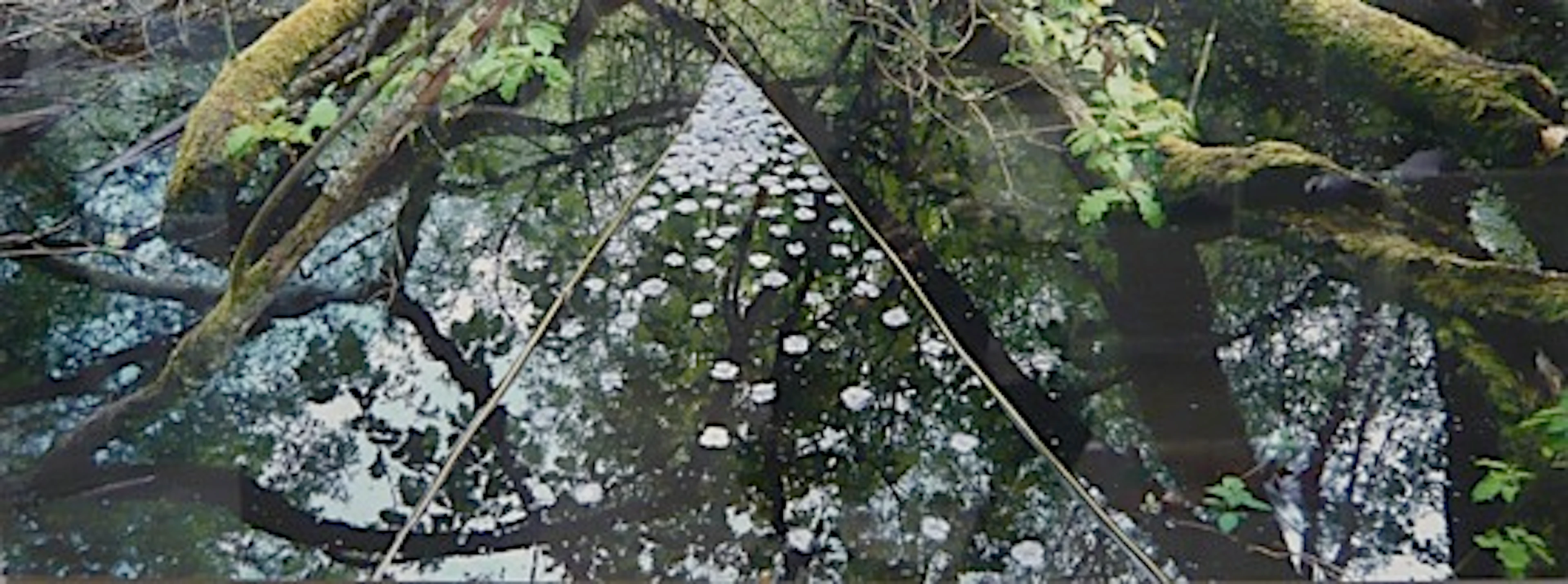 NILS UDO (né en 1937) SANS TITRE, 2000 Tirage chromogénique sur aluminium
