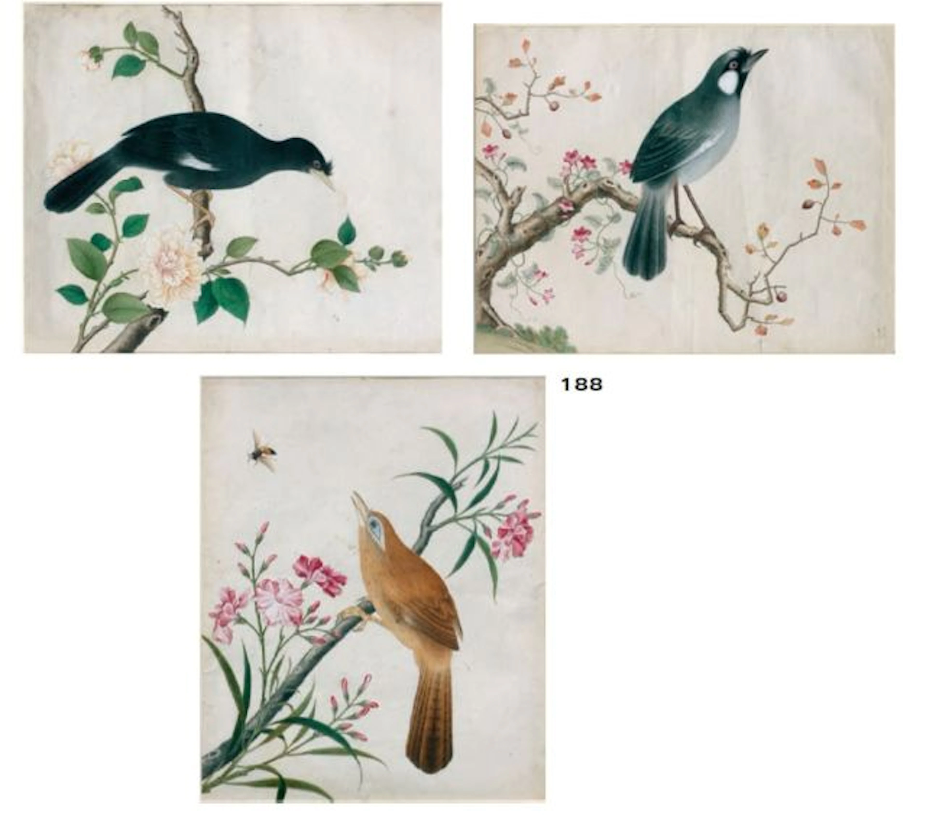 TROIS AQUARELLES SUR PAPIER ENCADRÉES SOUS VERRE, CHINE, XIXe SIÈCLE
