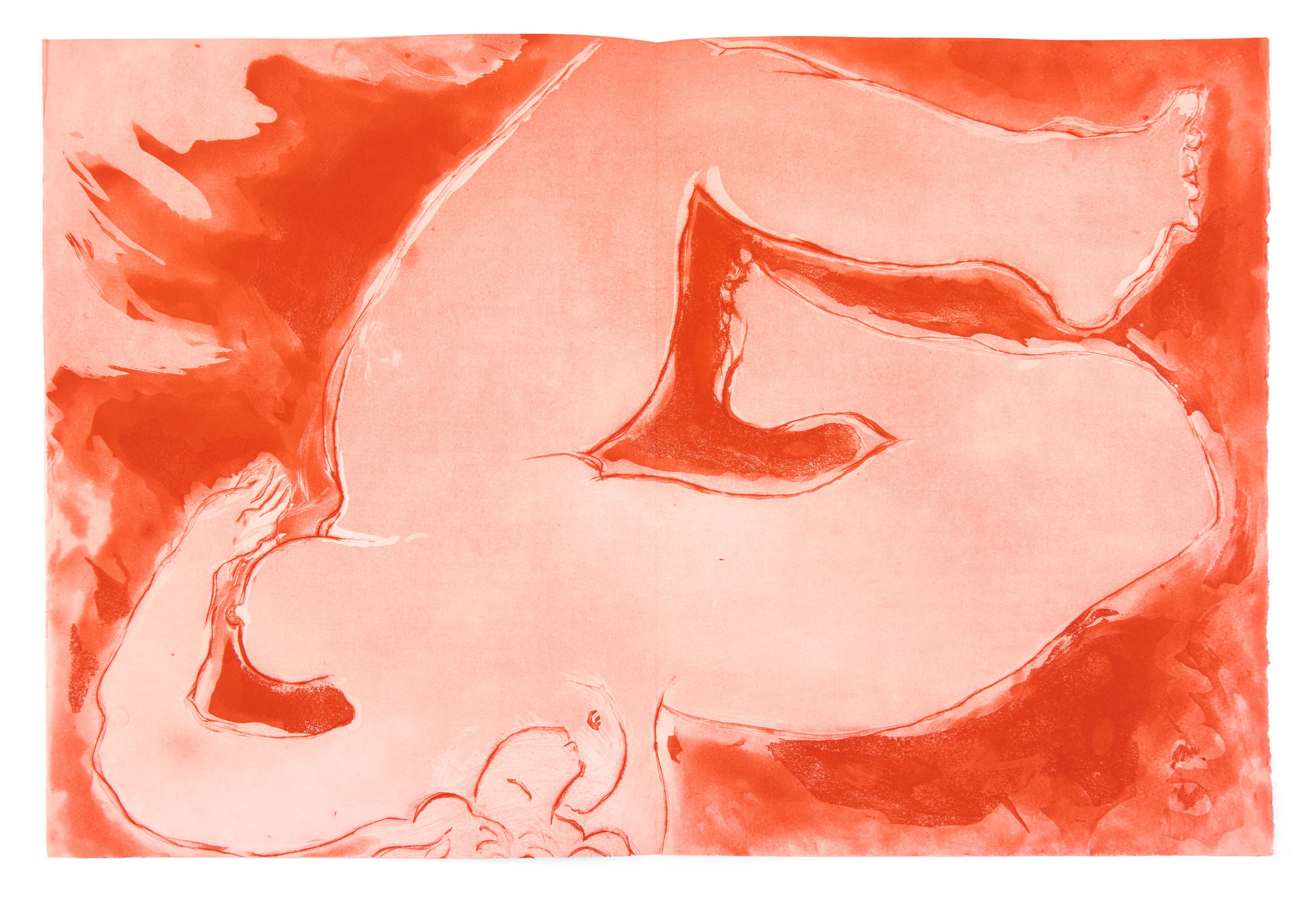 [ILLUSTRÉS] Ensemble de 4 livres illustrés modernes