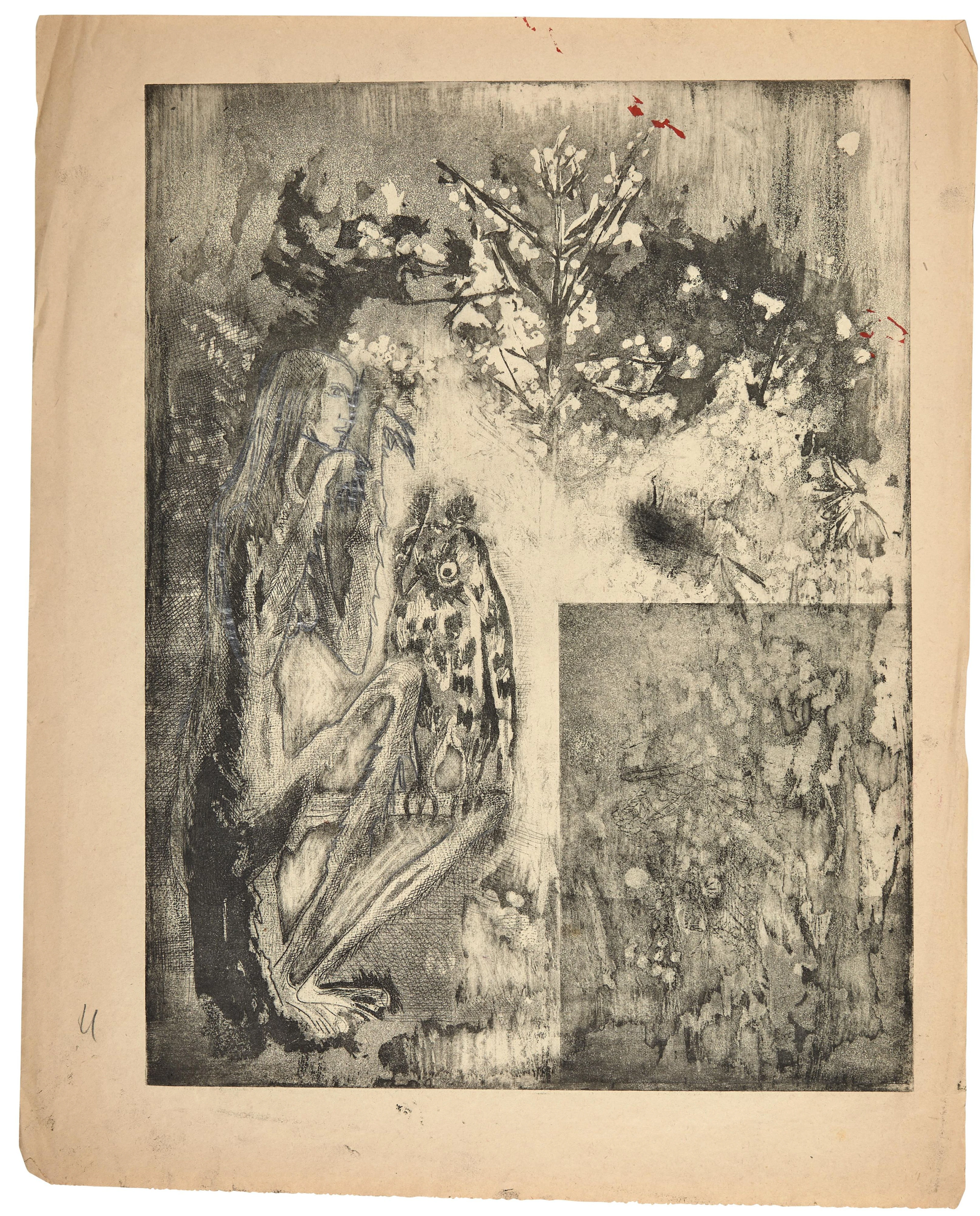 Germaine RICHIER 1902- 1959 Sans titre (grenouille)...