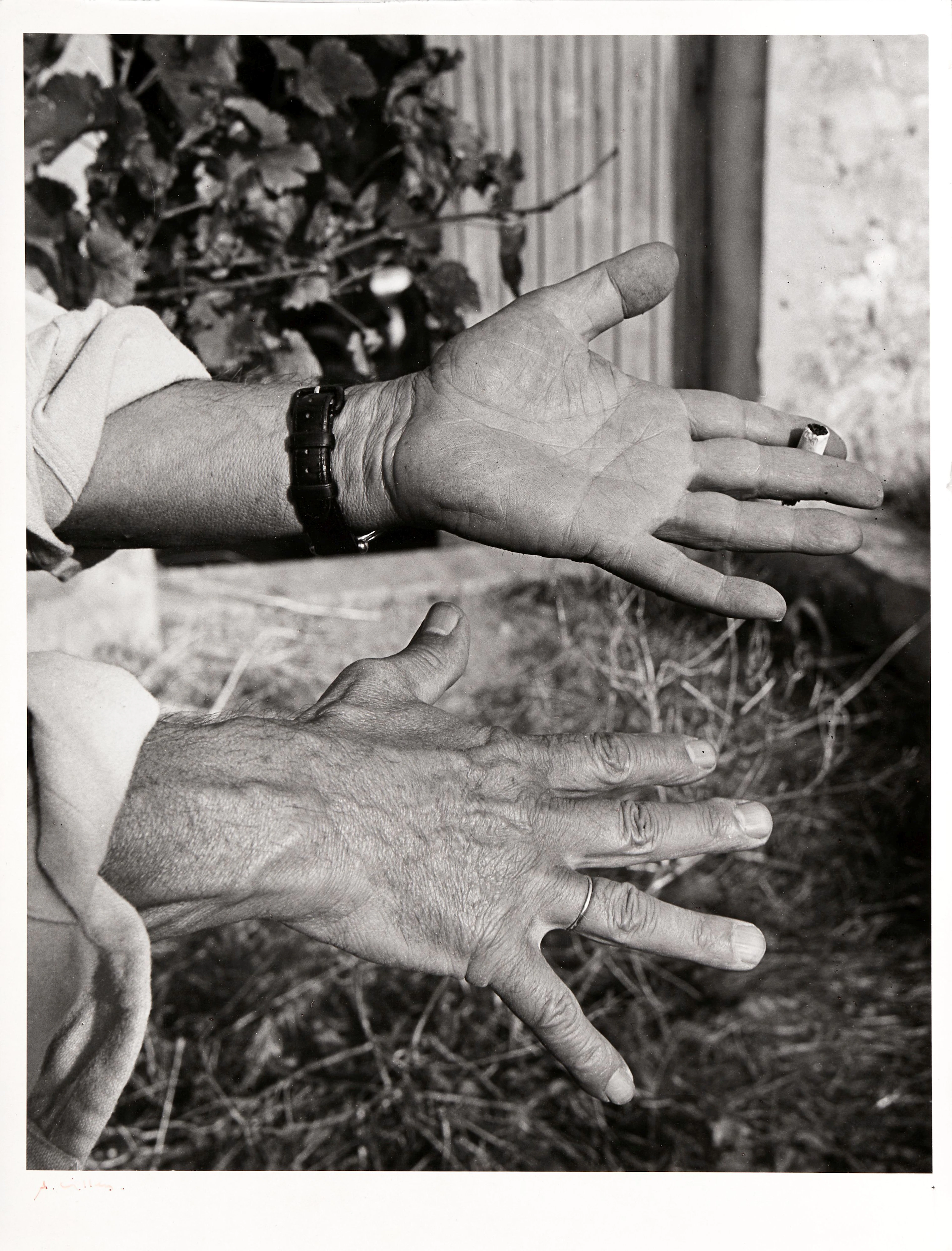 André VILLERS (1930 - 2016) Les mains de Pablo Picasso - Vallauris