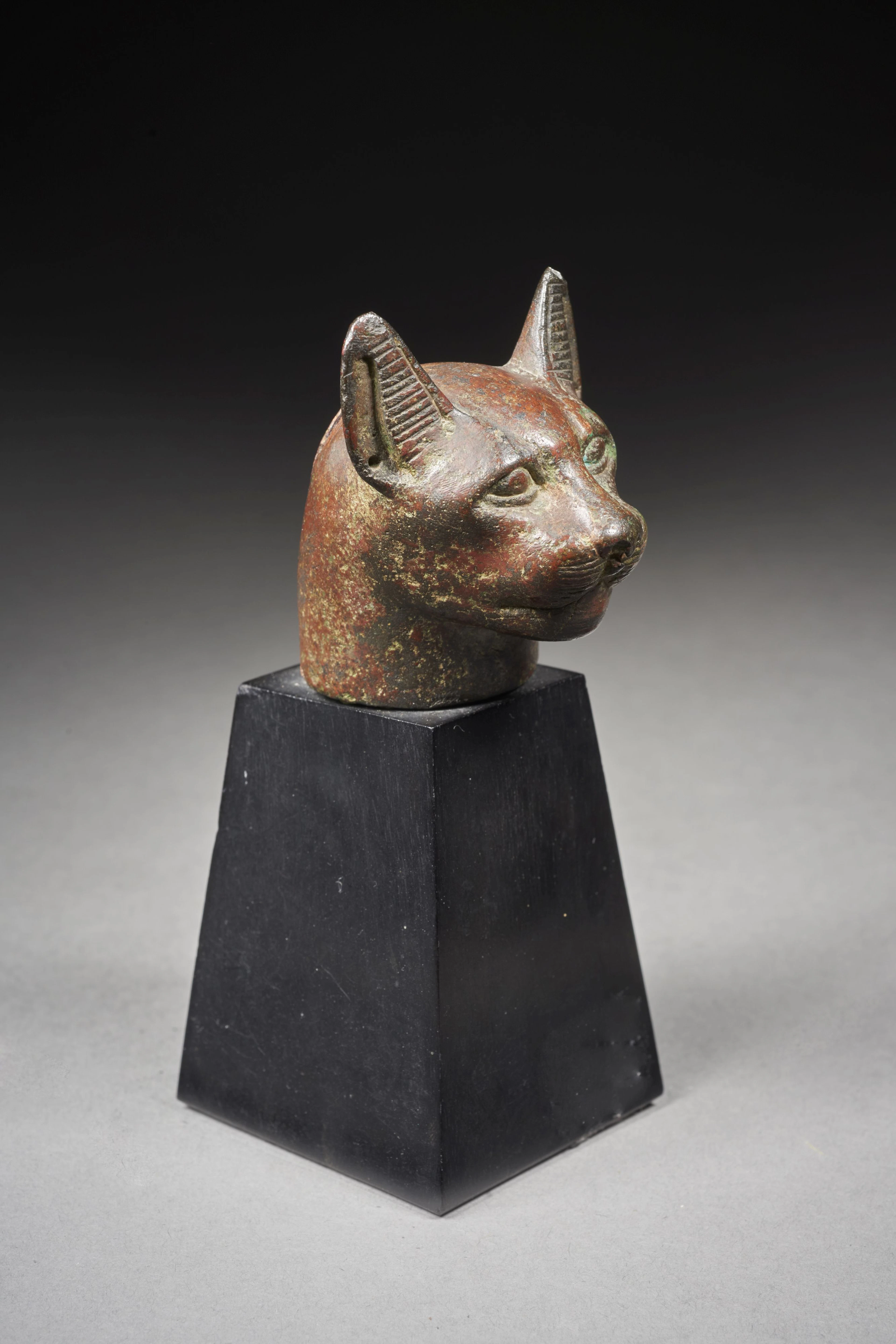TÊTE DE CHATTE EN BRONZE Art égyptien