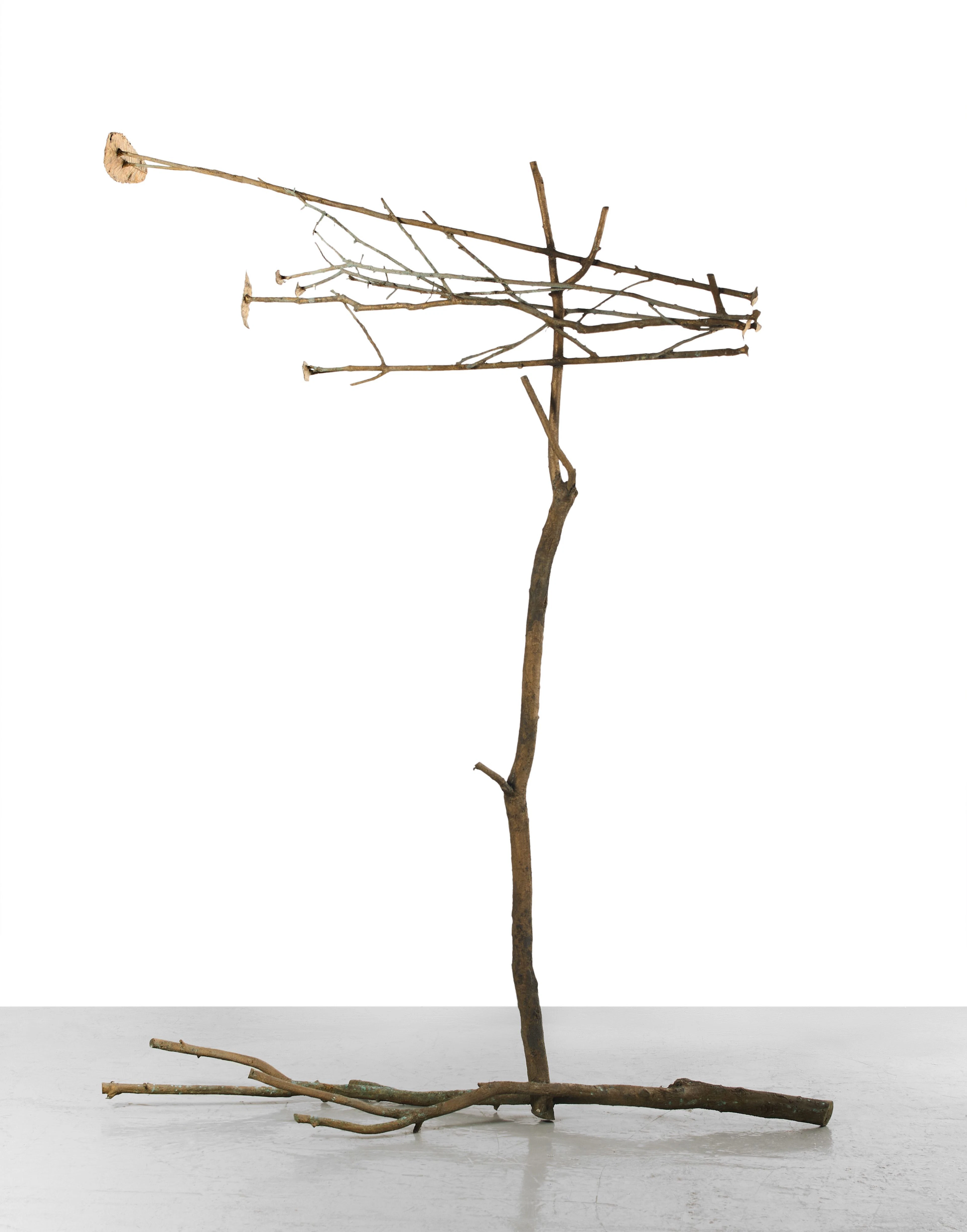 Giuseppe PENONE (Né en 1947) Pelle di foglie, 5 foglie - 2011 Bronze