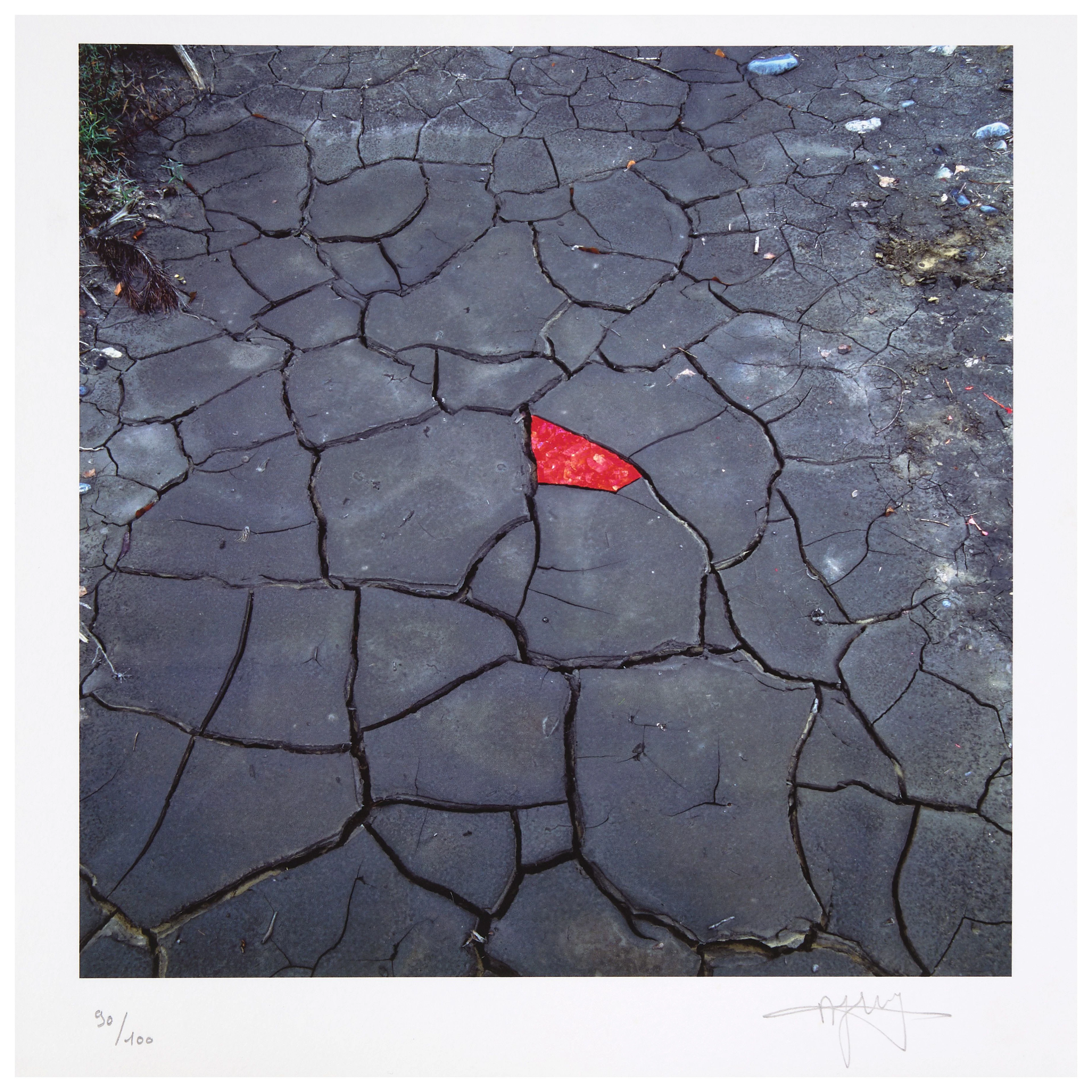 Andy GOLDSWORTHY (Né en 1956) Red Leave on cracked earth...