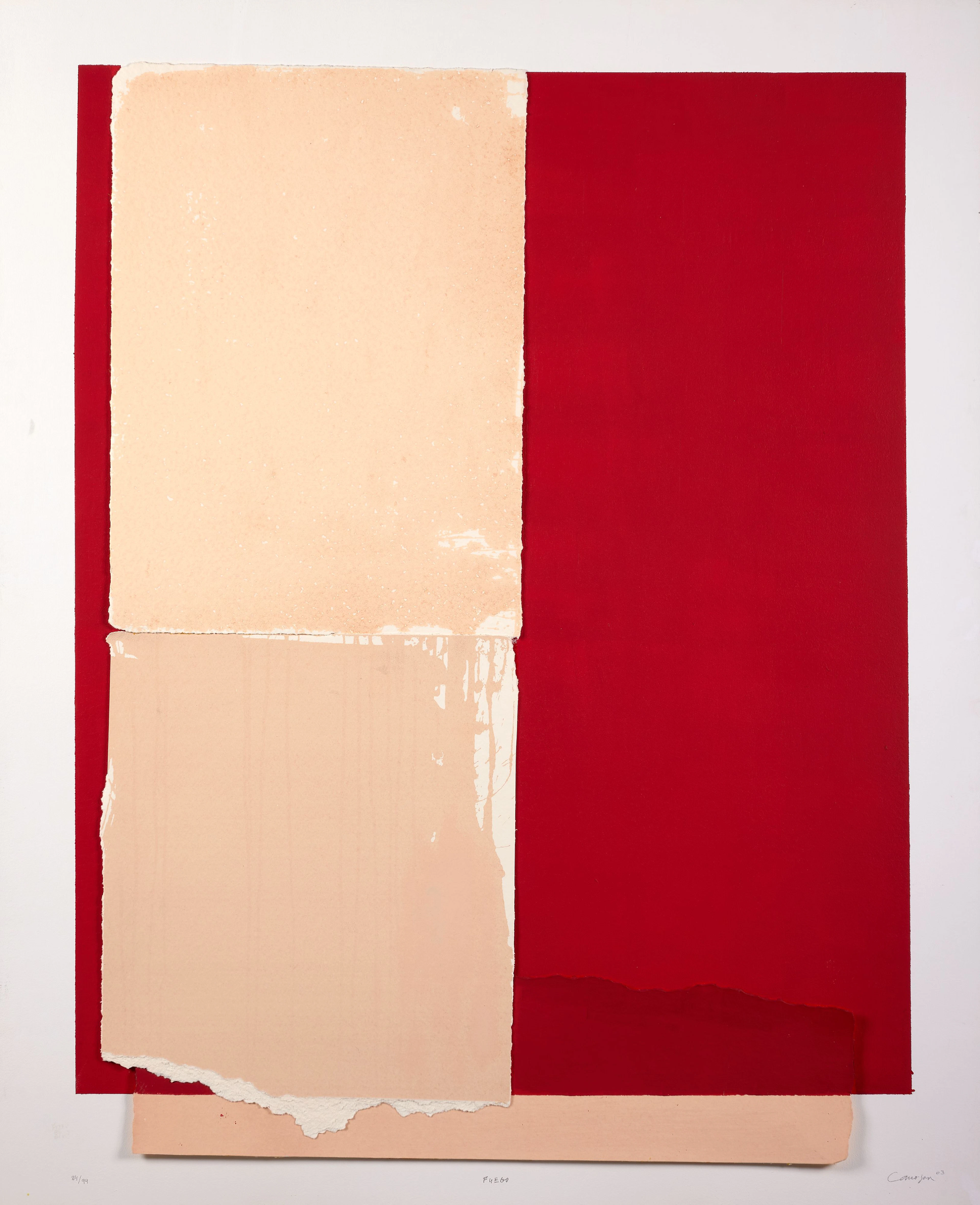 Rafael CANOGAR (Né en 1935) Agua - 2003 Sérigraphie et collage sur contreplaqué