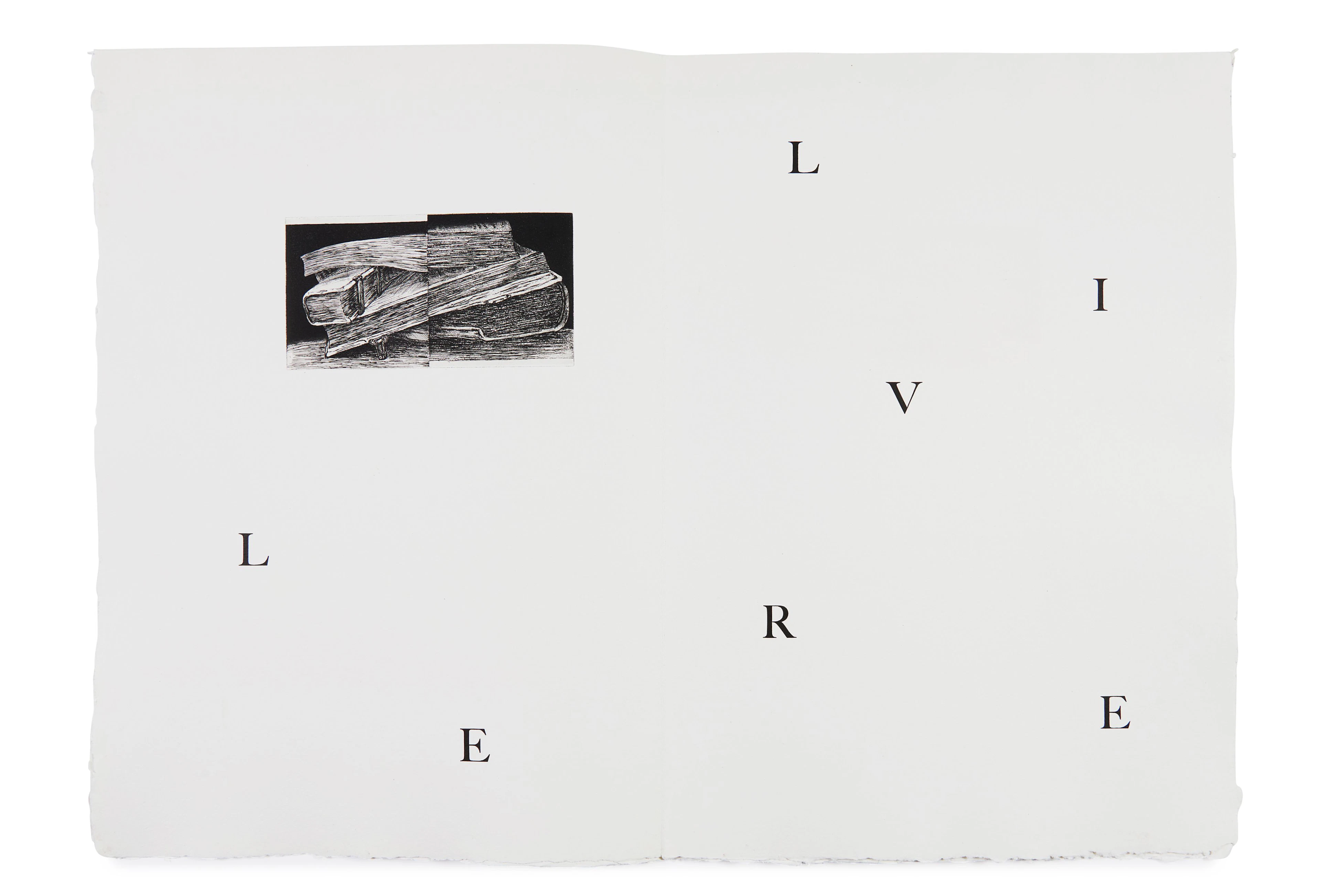 LECUIRE (Pierre) Le livre des Livres II. Paris, Pierre Lecuire, 1982.