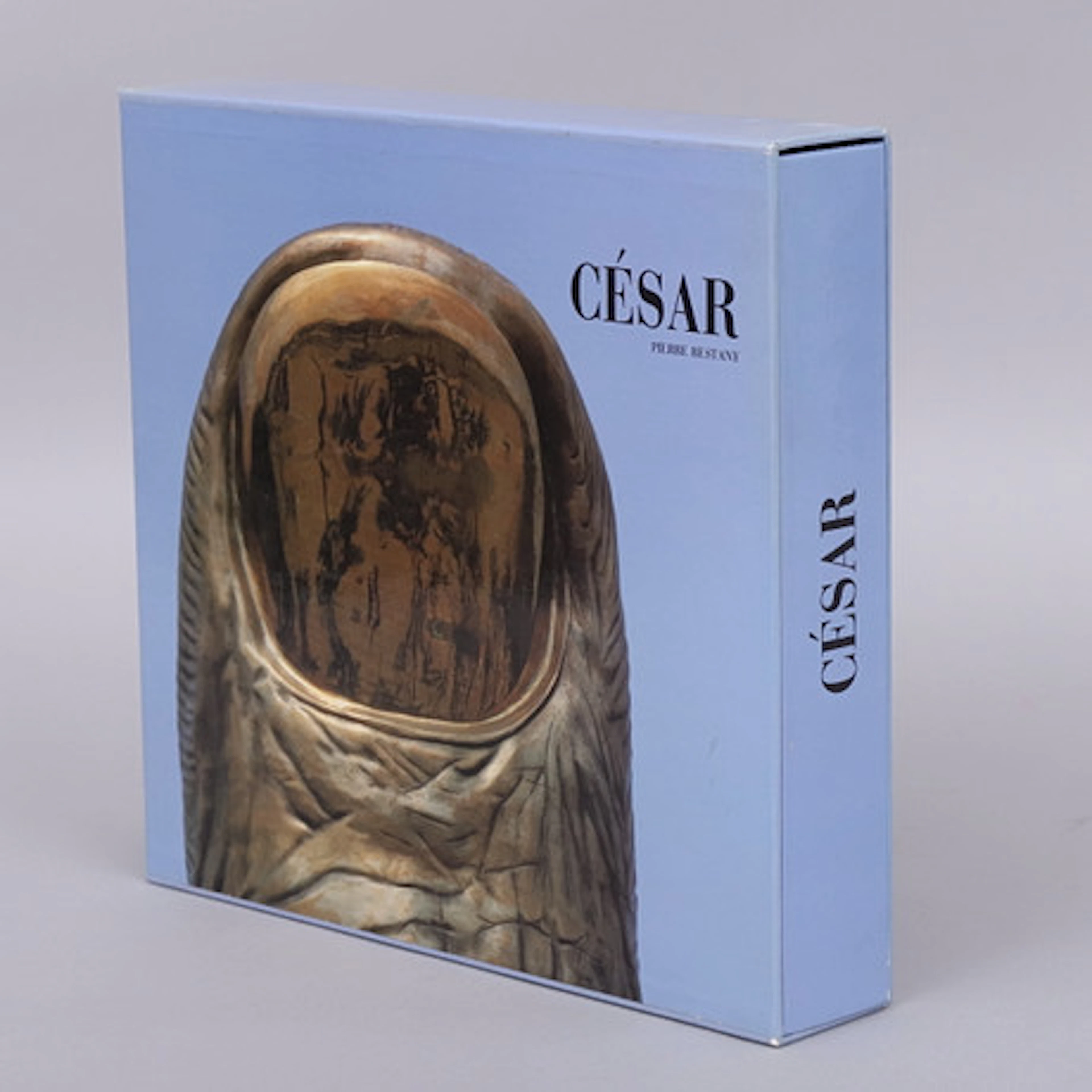 BOK, César.