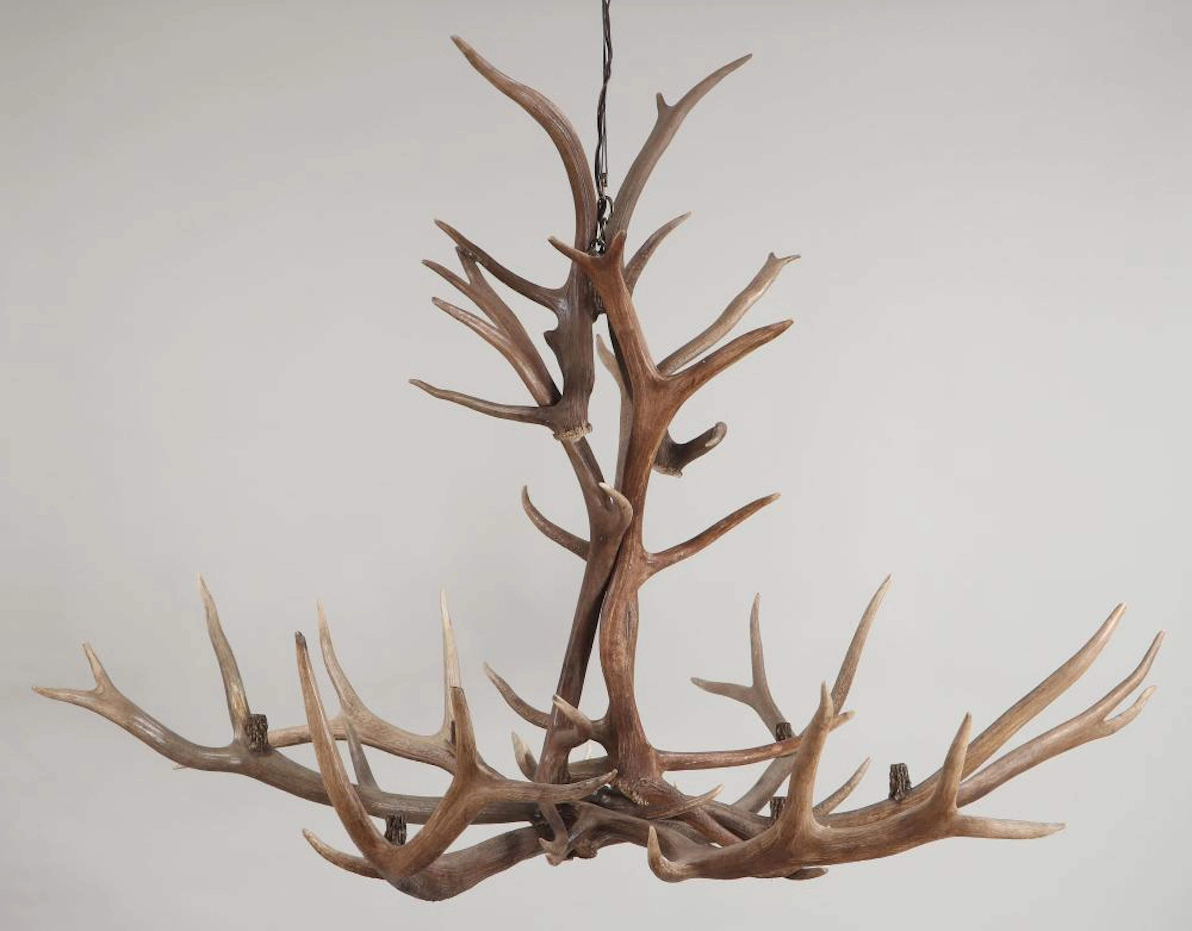Large Elk antler six-light chandelier
