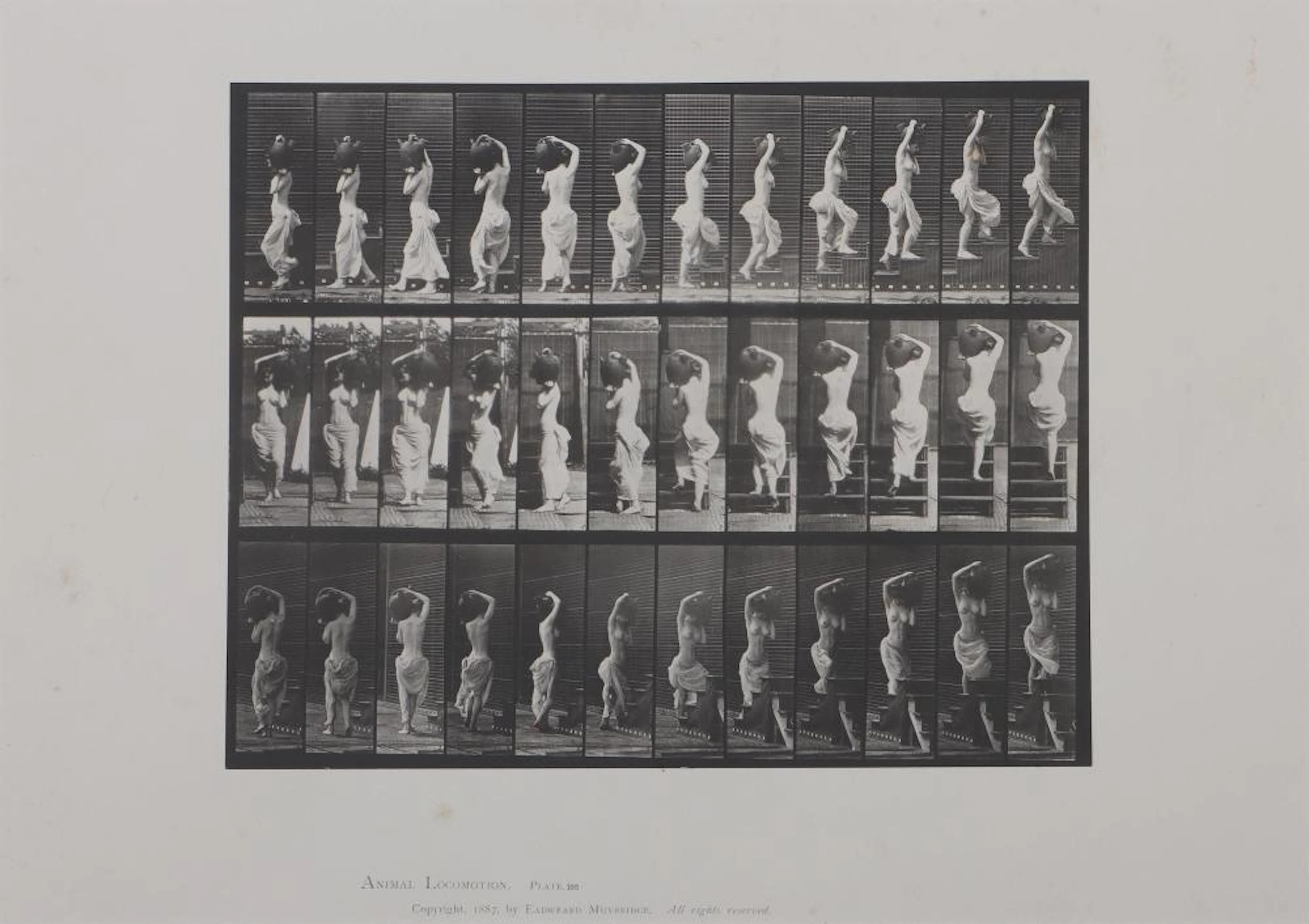 EADWEARD MUYBRIDGE (British/American, 1830-1904)