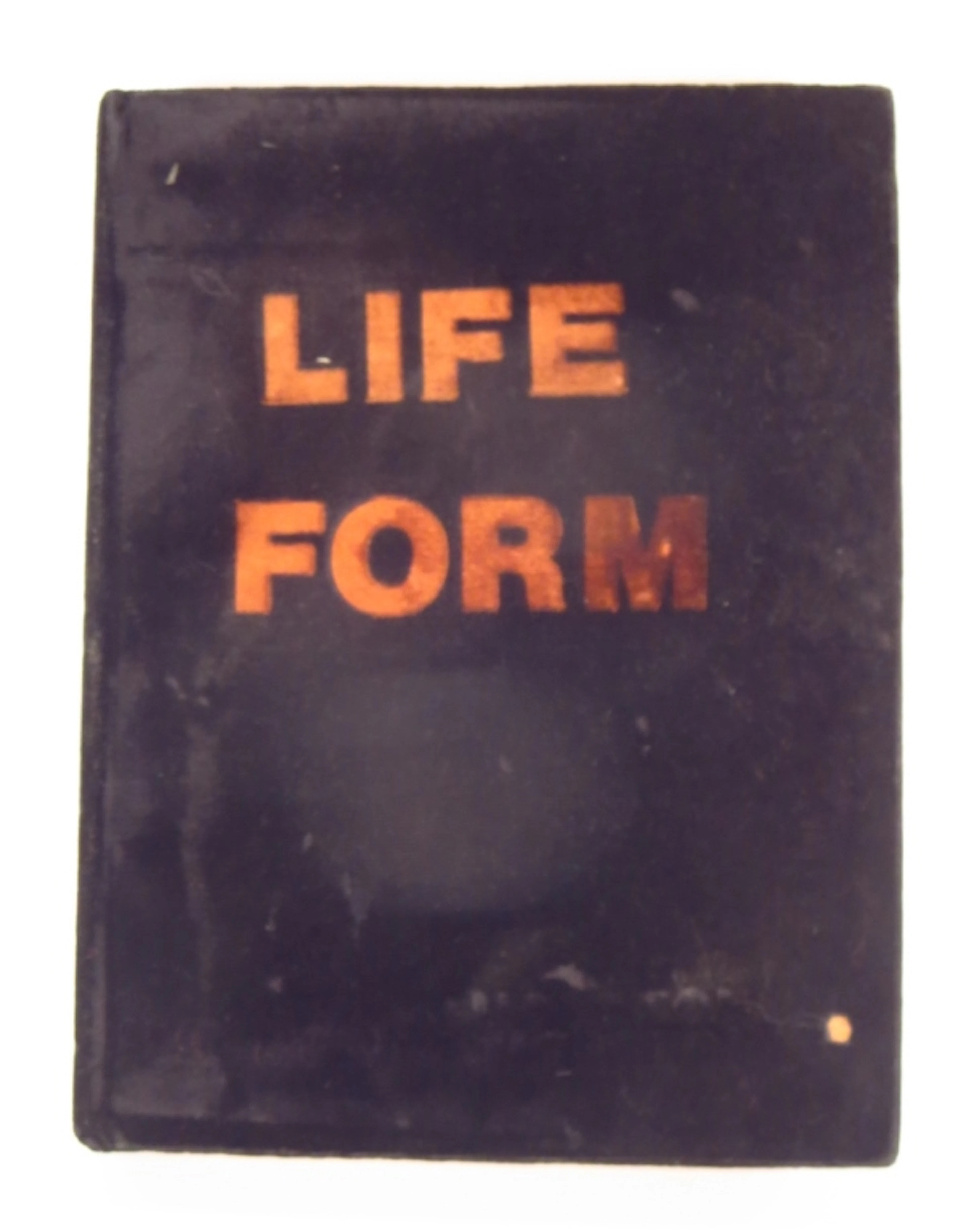 Richard Hambleton Life Form Book Sculpture 1989-90