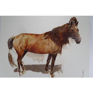 Mongolian Sch, Portrait of a Mongolian Pony, O/C