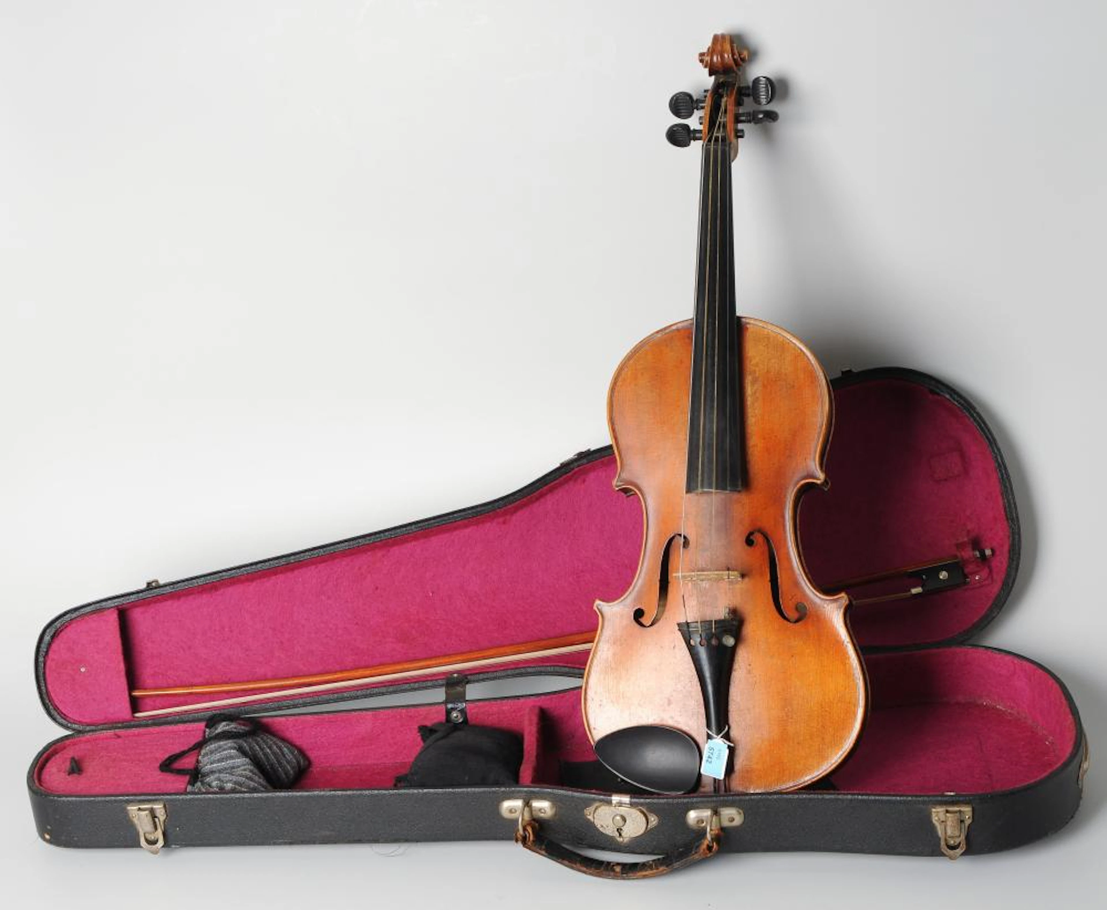 VIOLINE