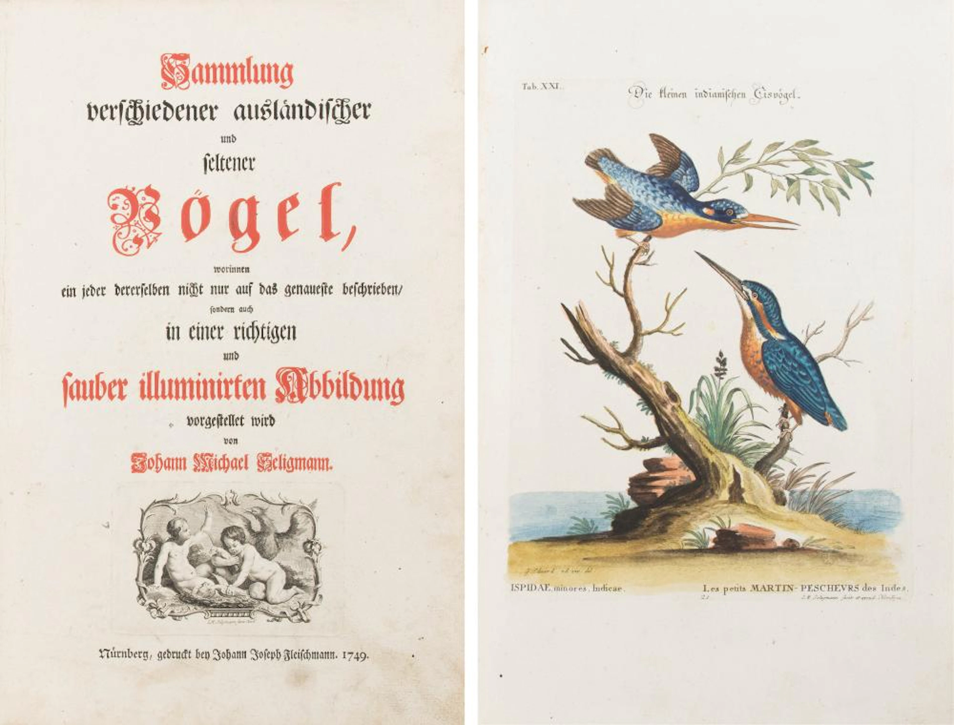SELIGMANN, JOHANN MICHAEL
