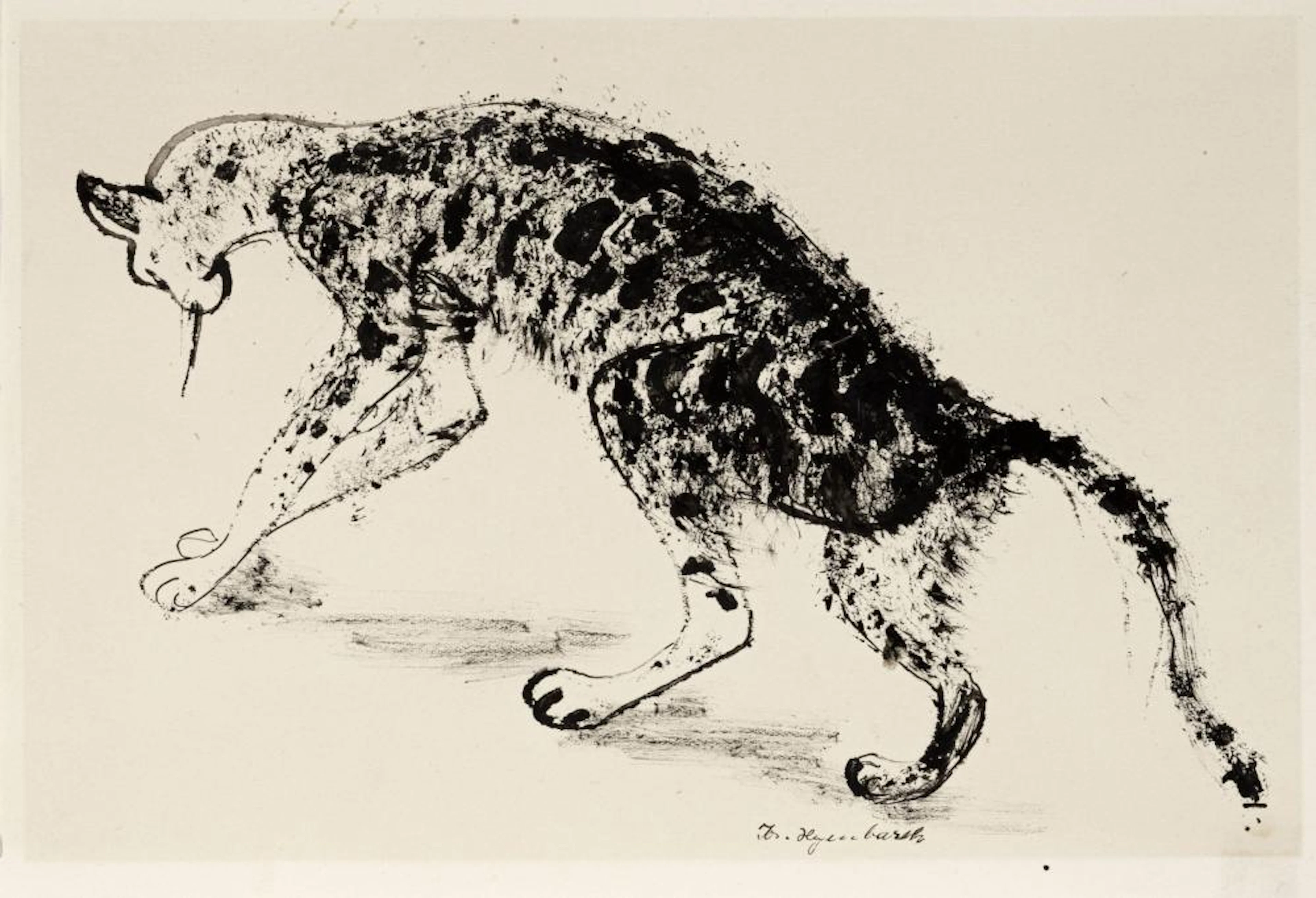 Josef Hegenbarth "Katze". Um 1950.