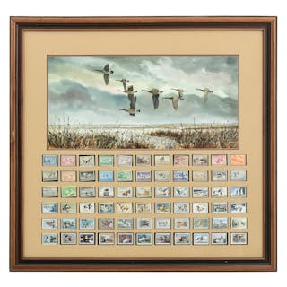 American Framed Federal Duck Stamps with Print