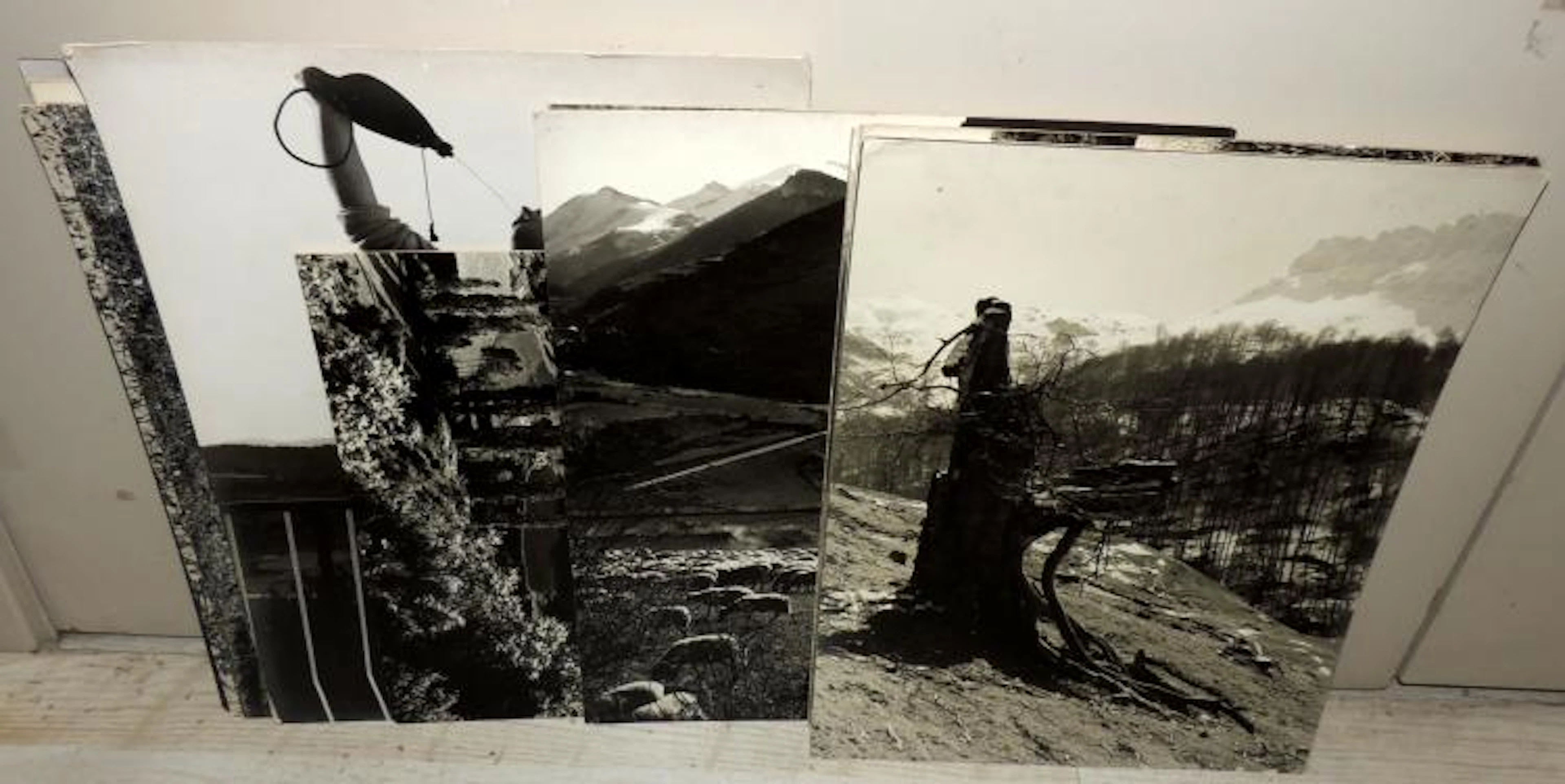 COLLECTION OF PHOTOGRAPHS