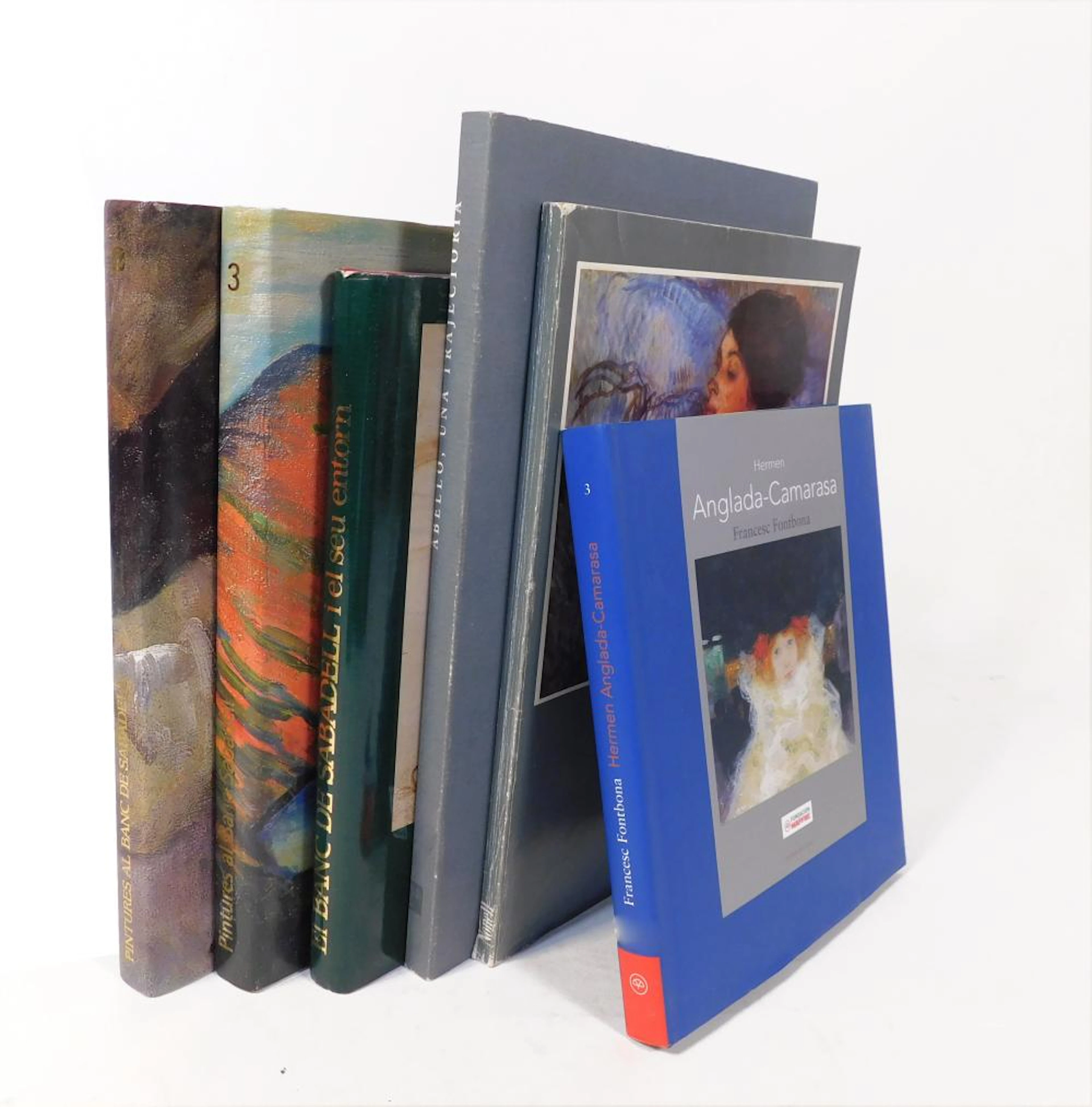 COLECCIÓN DE 6 LIBROS SOBRE ARTISTAS artistas entre ellos Anglada Camarassa