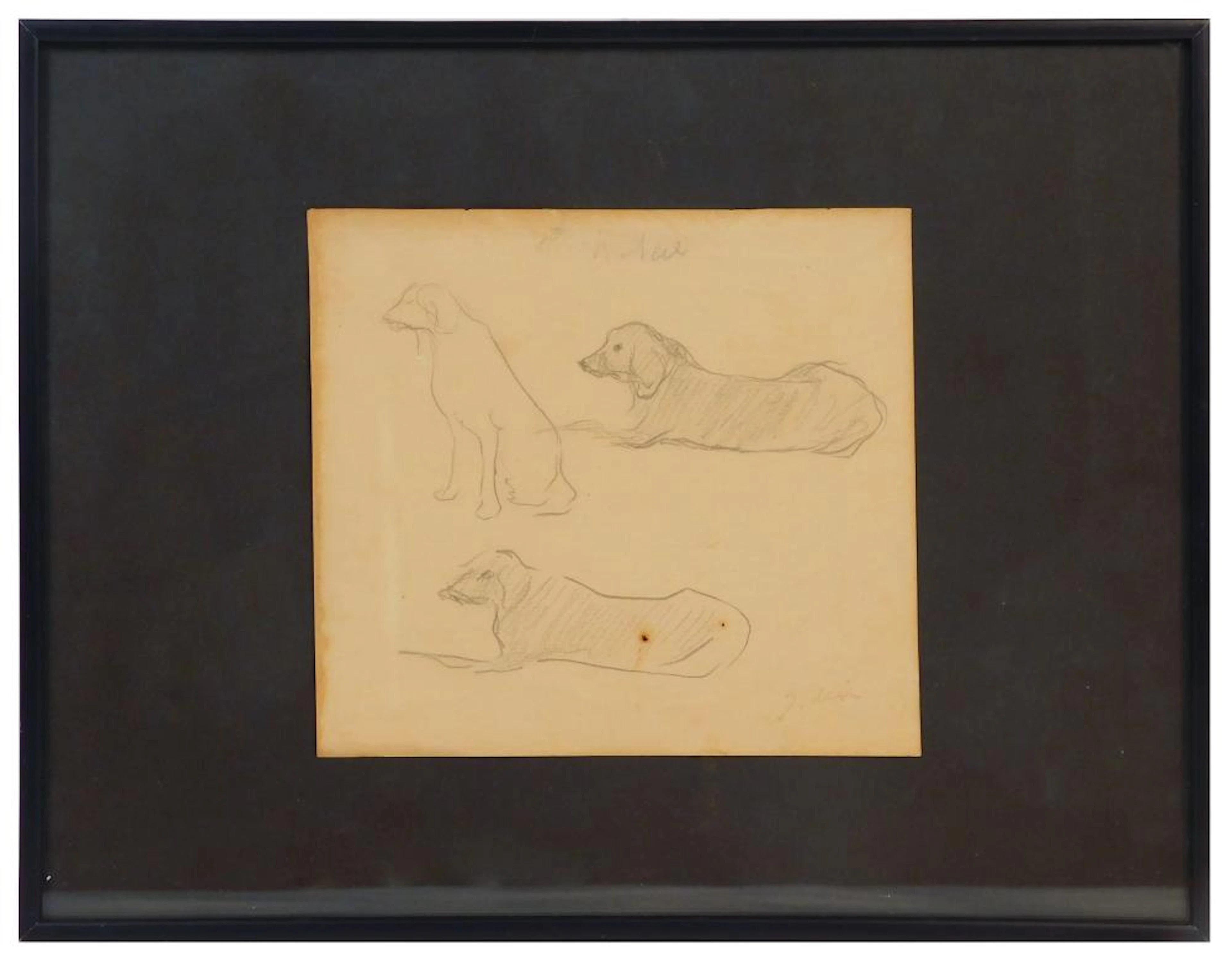 Joaquin MIR TRINXET (1873-1937/40) "Perros" dibujos...