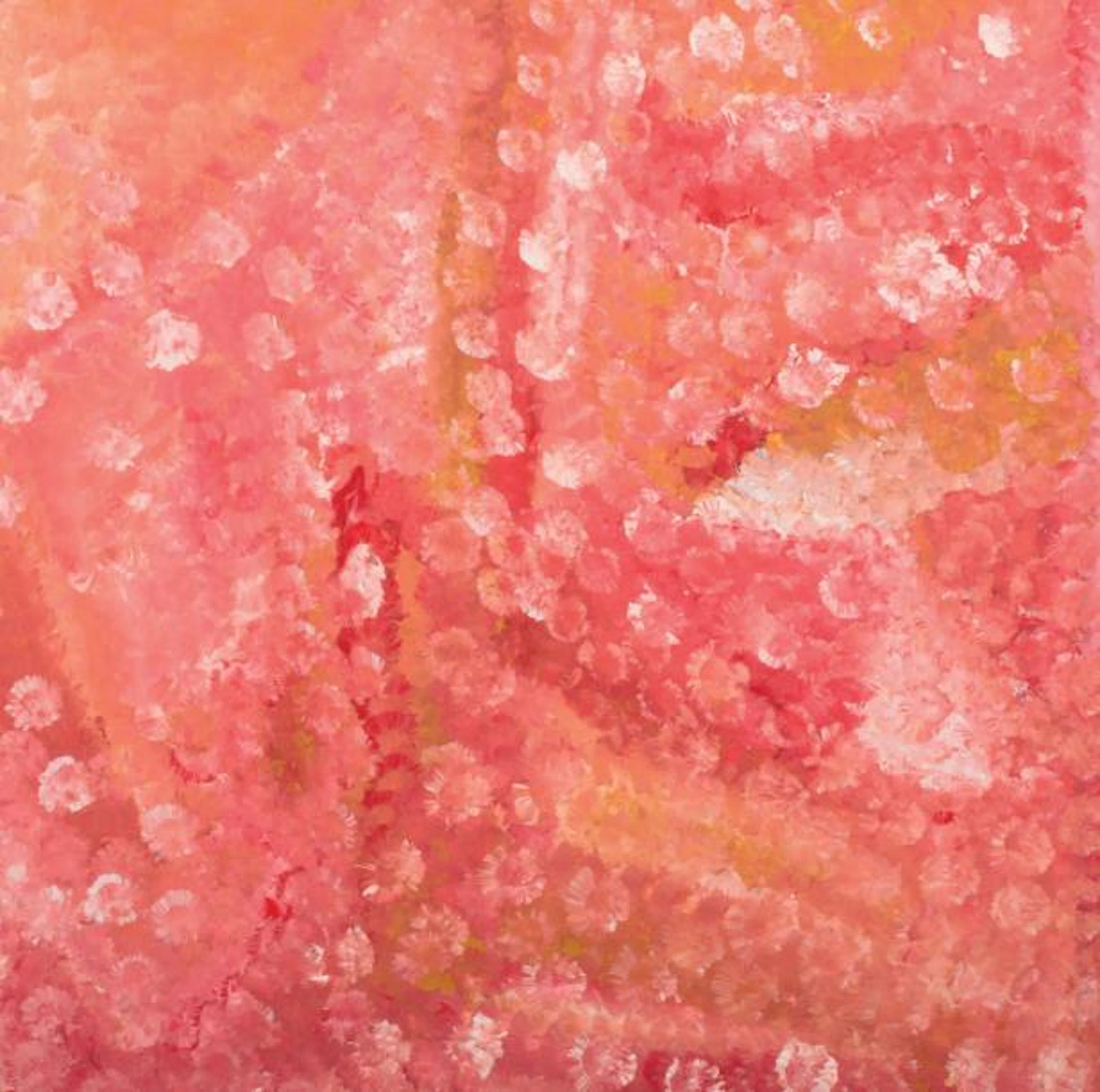 KNGWARREYE EMILY KAME (ANMATYERRE). (CIRCA 1910-1996)
