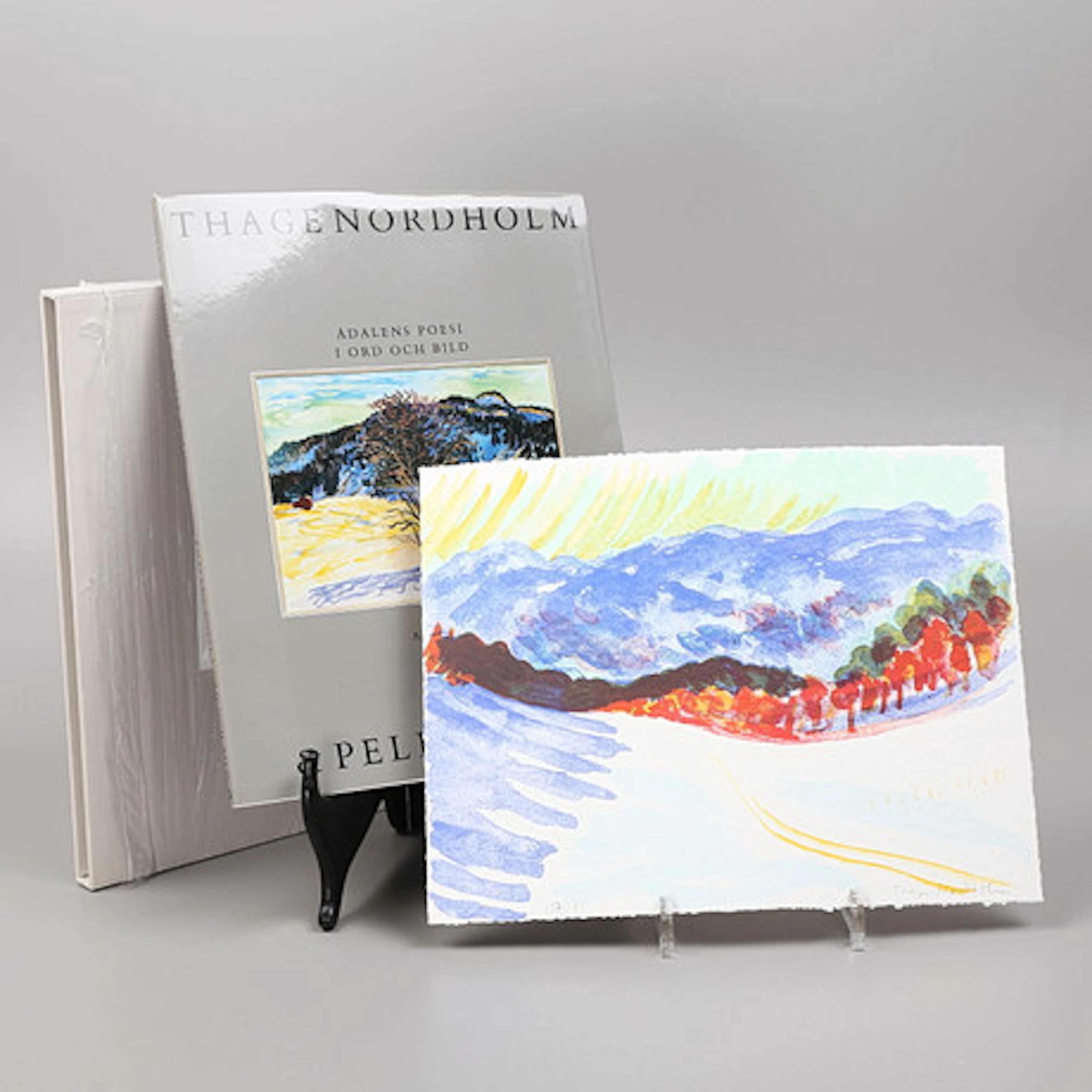 THAGE NORDHOLM & PELLE MOLIN. Bok med färg…