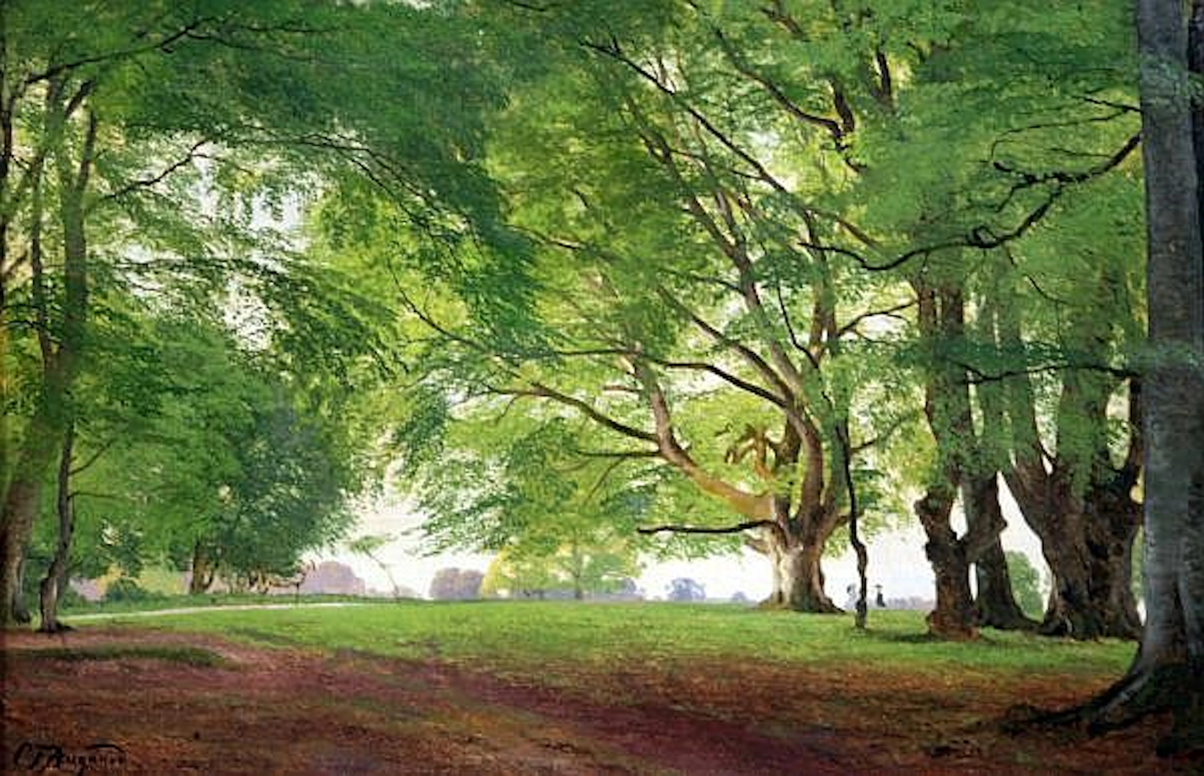 Carl Frederik Aagaard (1833-1895) Beech trees in summertime, 15.5 x 23.5in.