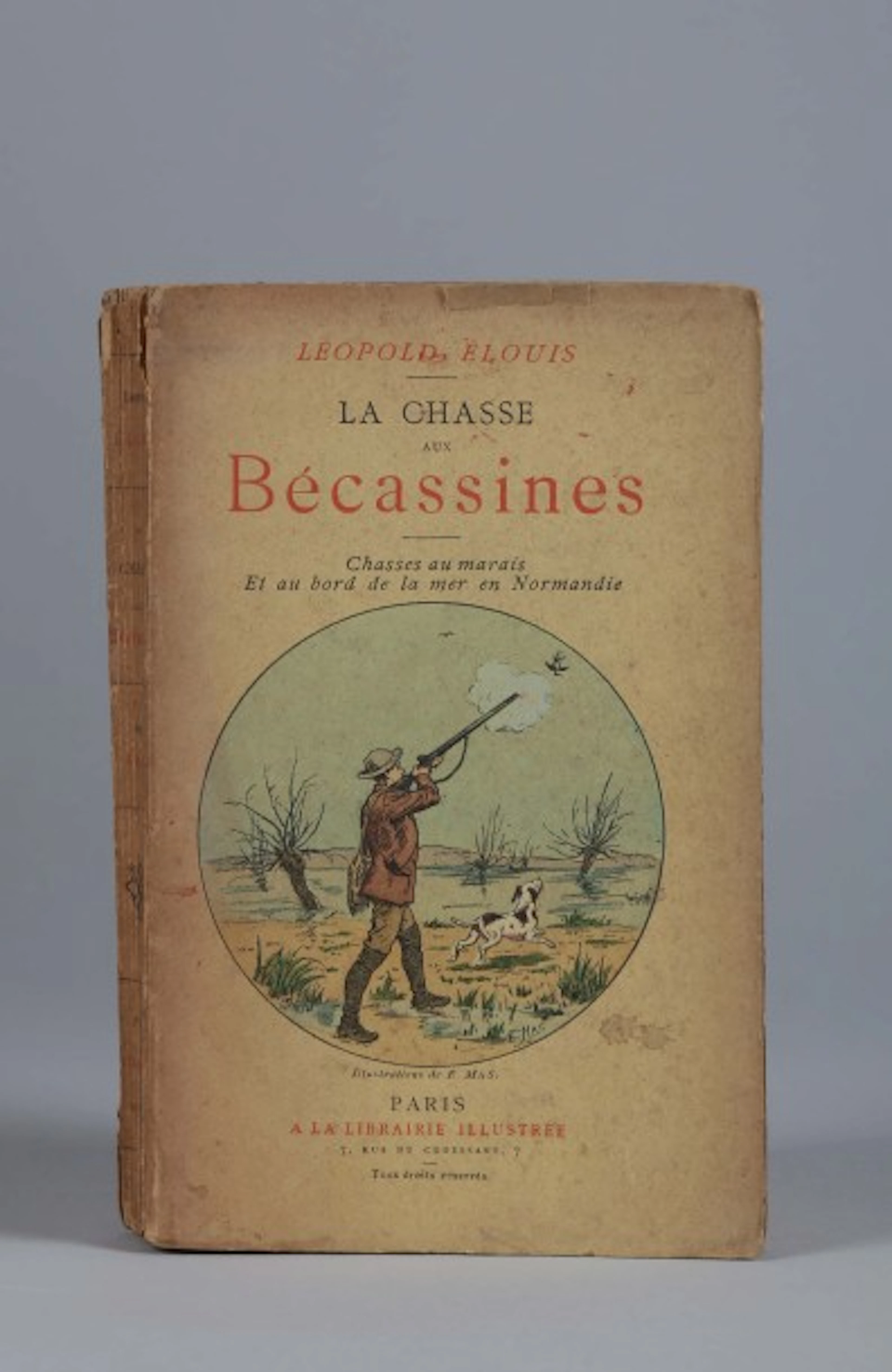 [Bécassine] [Lièvre]