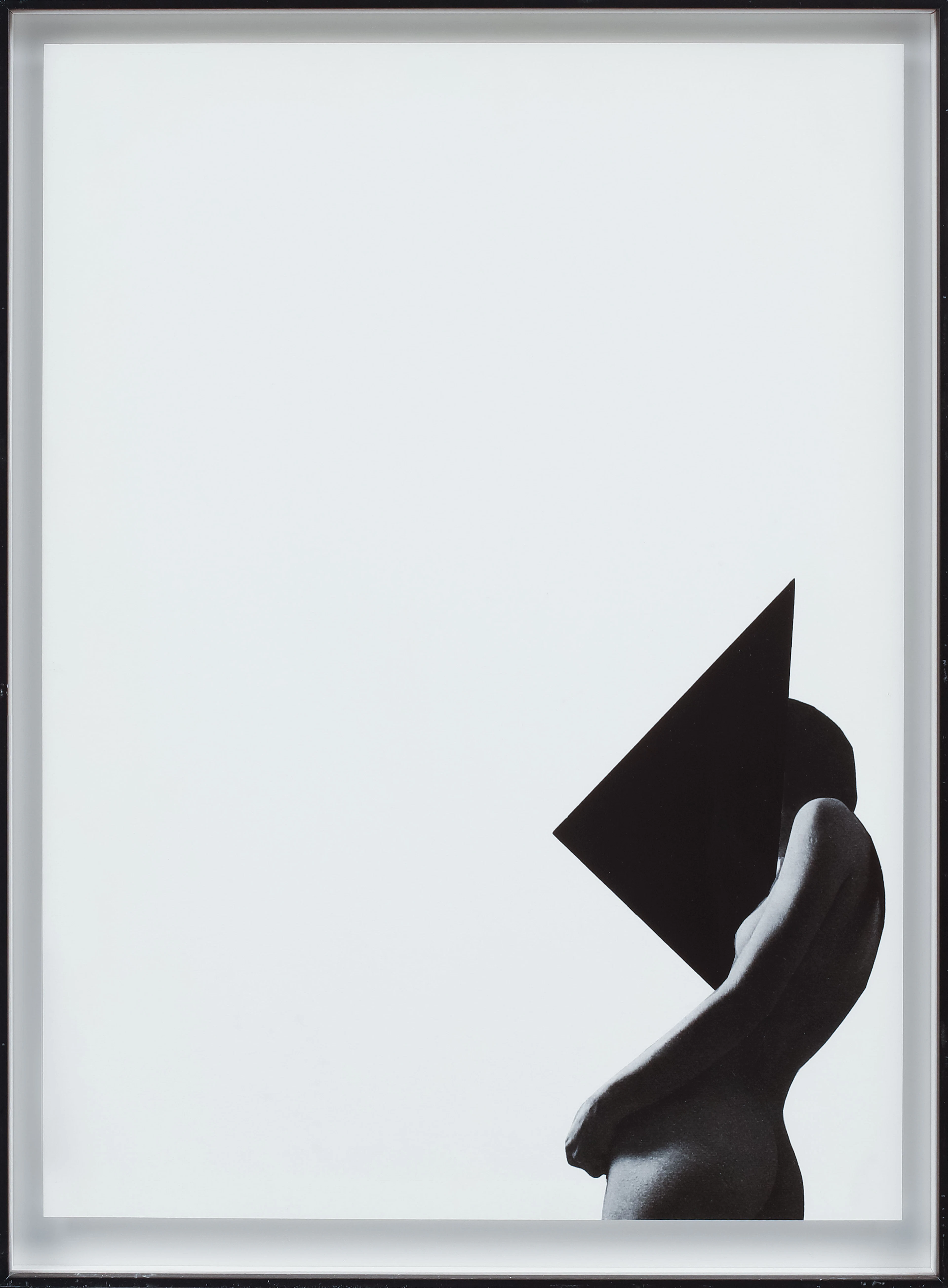 LOTTA ANTONSSON. digitalt tryck, "Experiments in Black", 2010.
