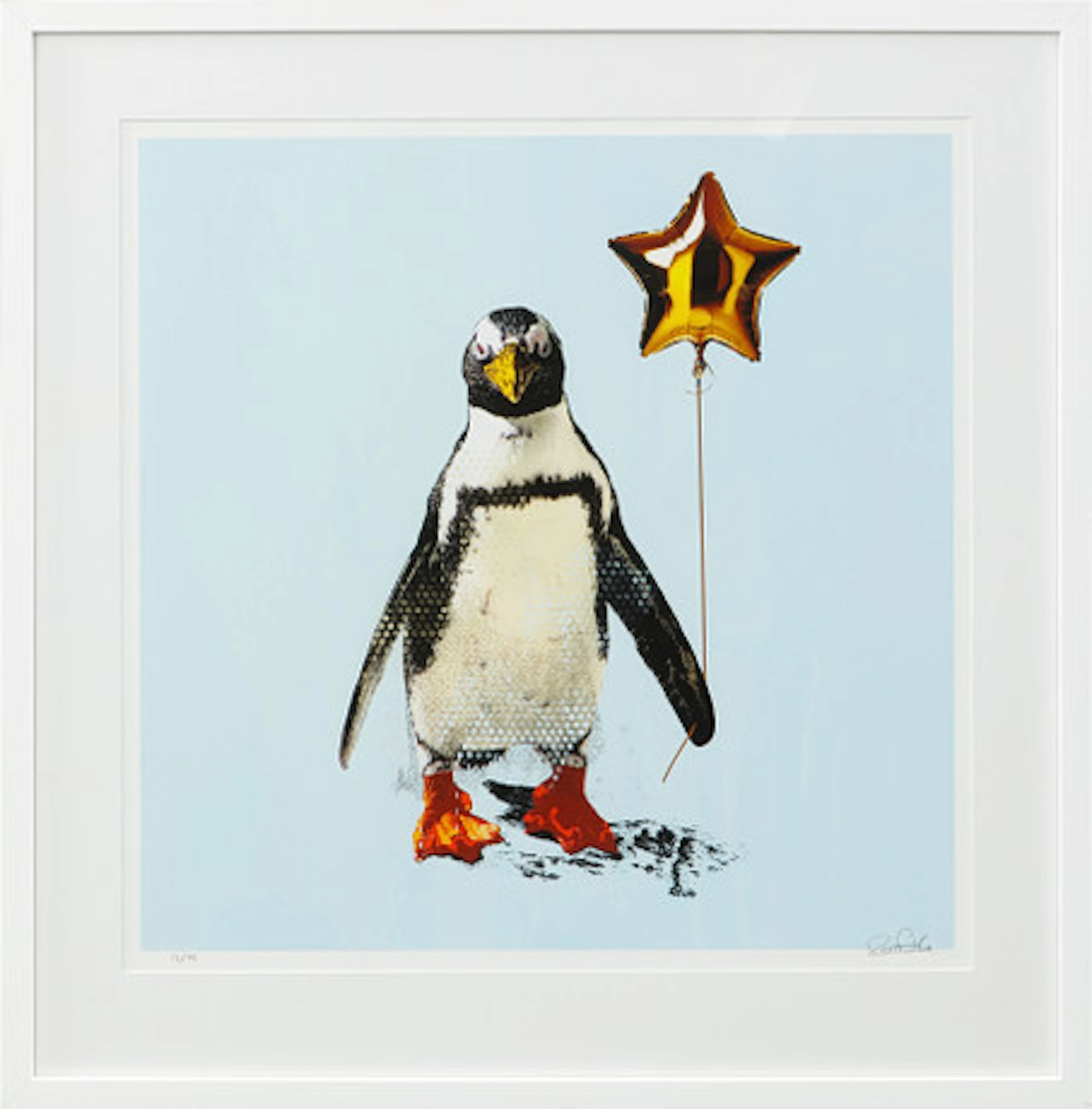 ROBERT HILMERSSON. "A star is born", pigme…