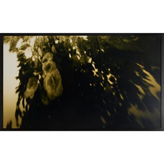 Barbara Ess, oversize monochrome photograph, 1989