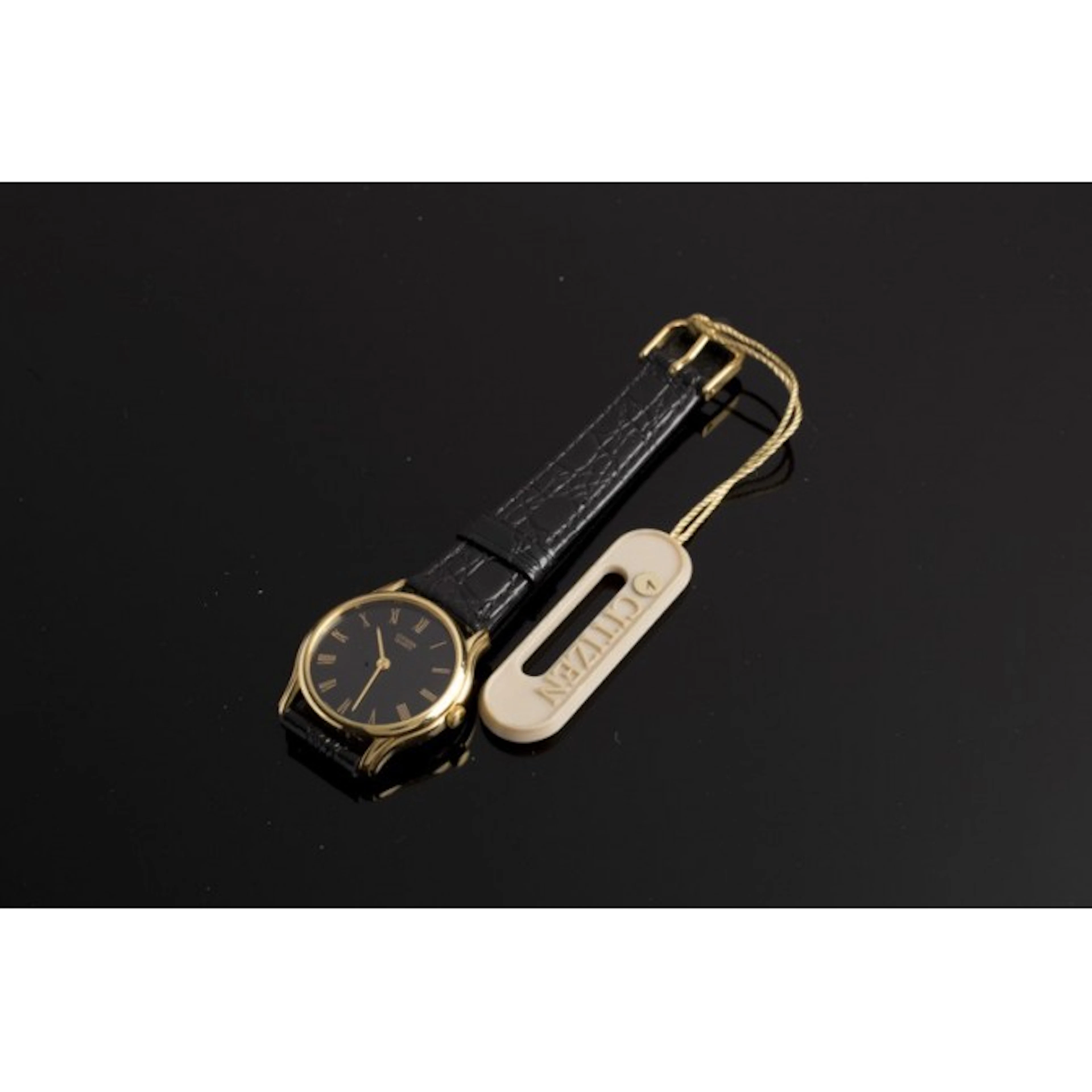 RELOJ CITIZEN