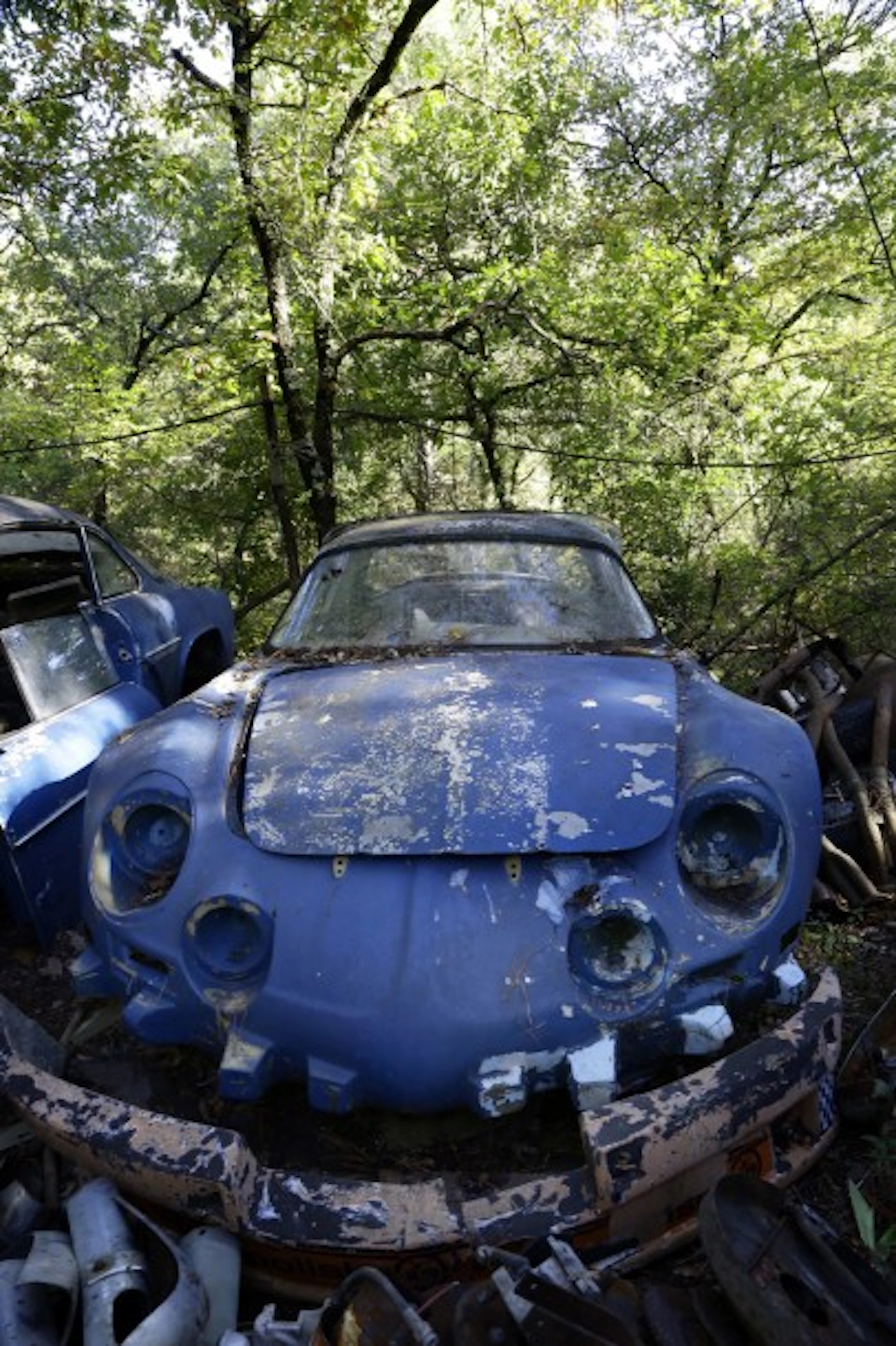1970 ALPINE A 110 1300G Marque ALPINE Type A110 1300 VA Numéro...