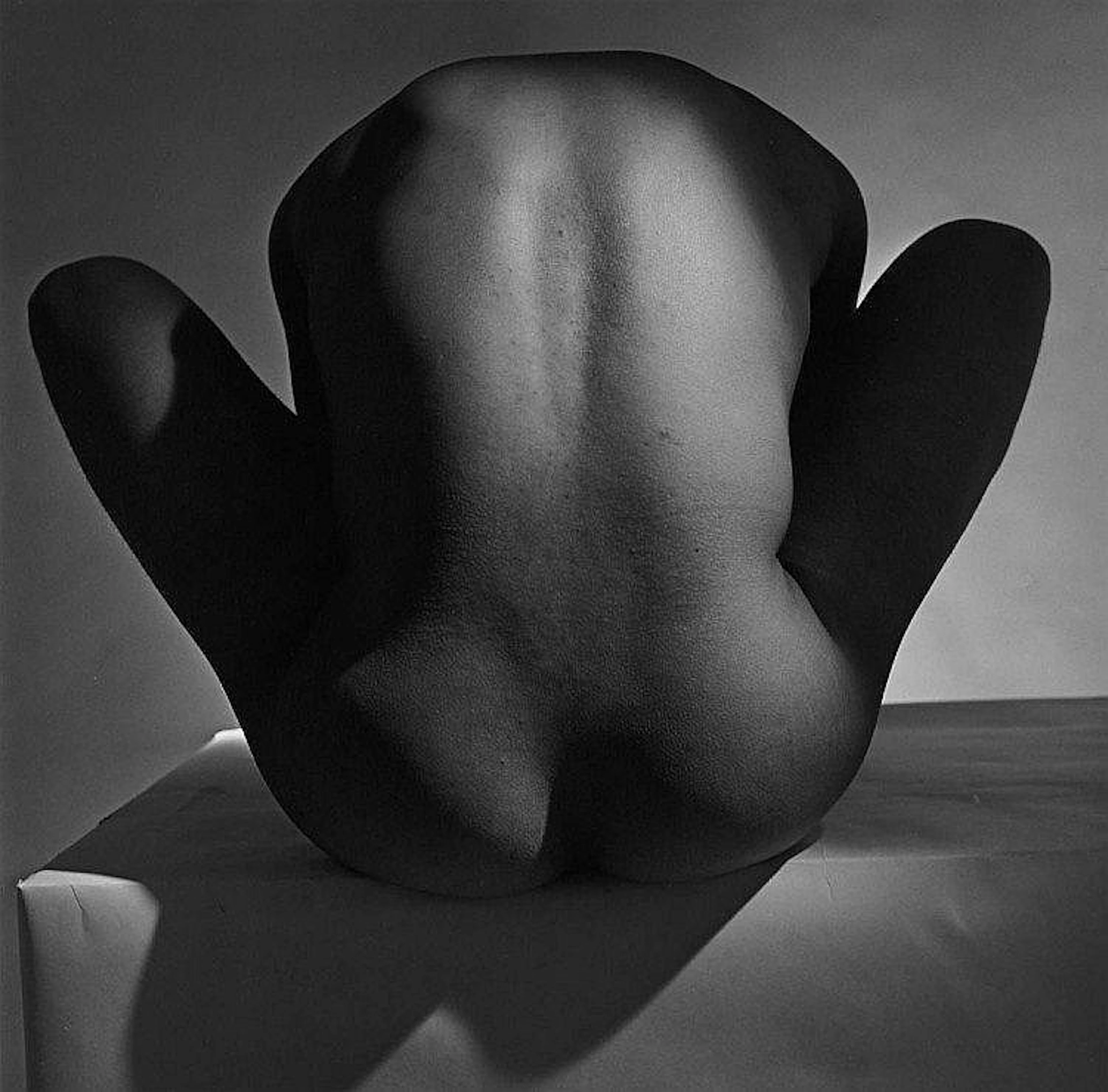 Male Nude. Back Study, New York