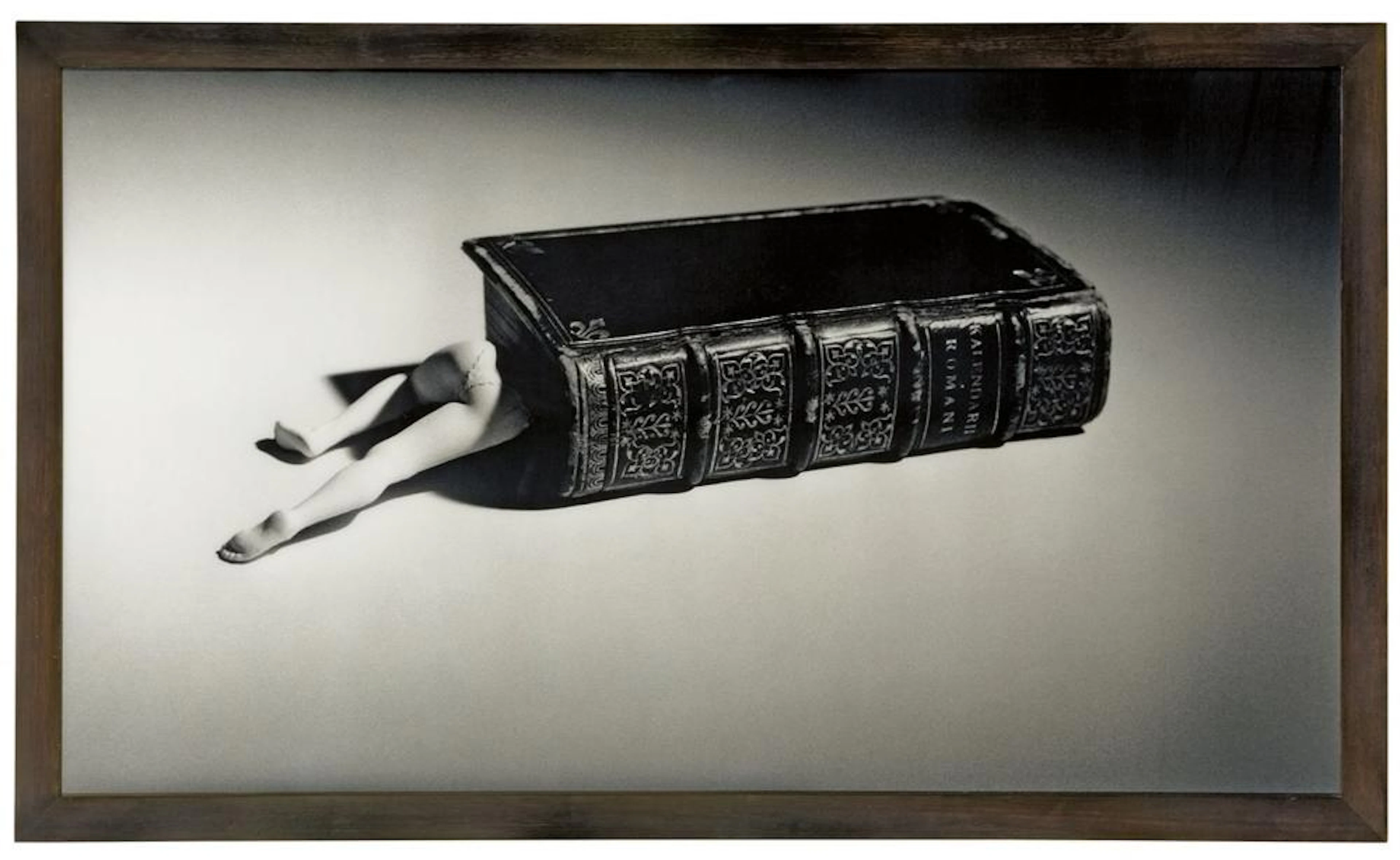 Laurie Simmons - Lying Book