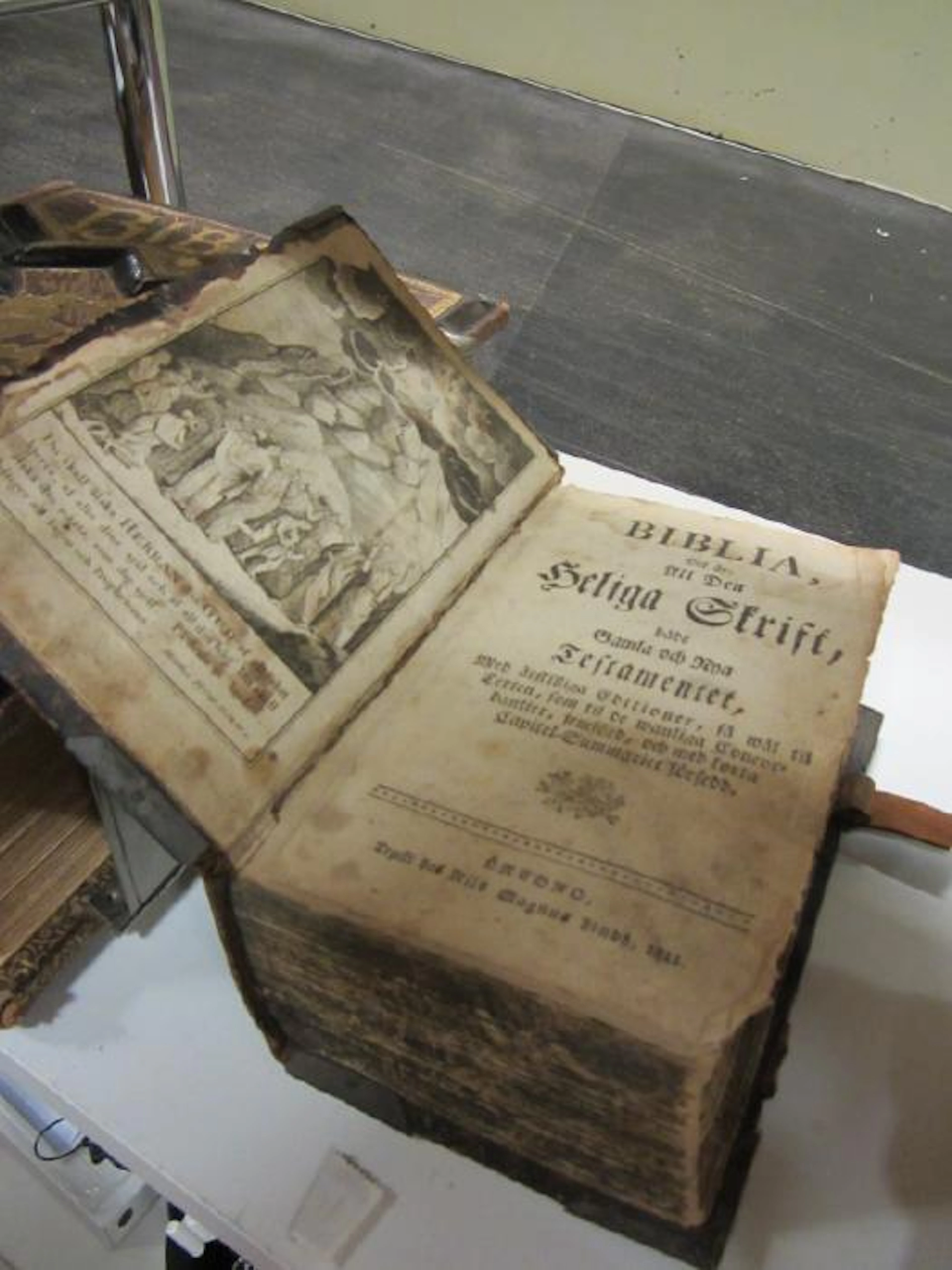 Antik bibel 1881