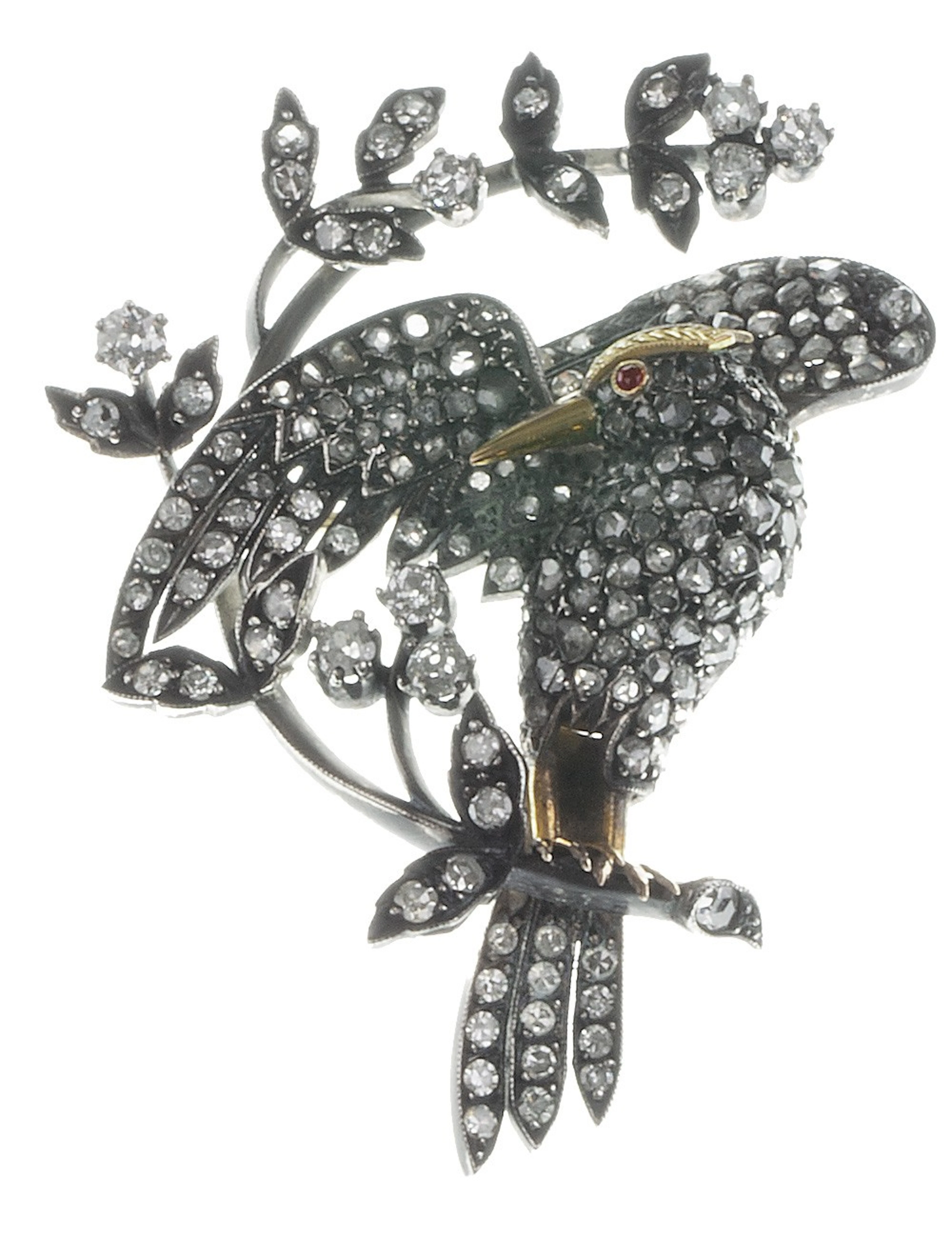 Broche S.