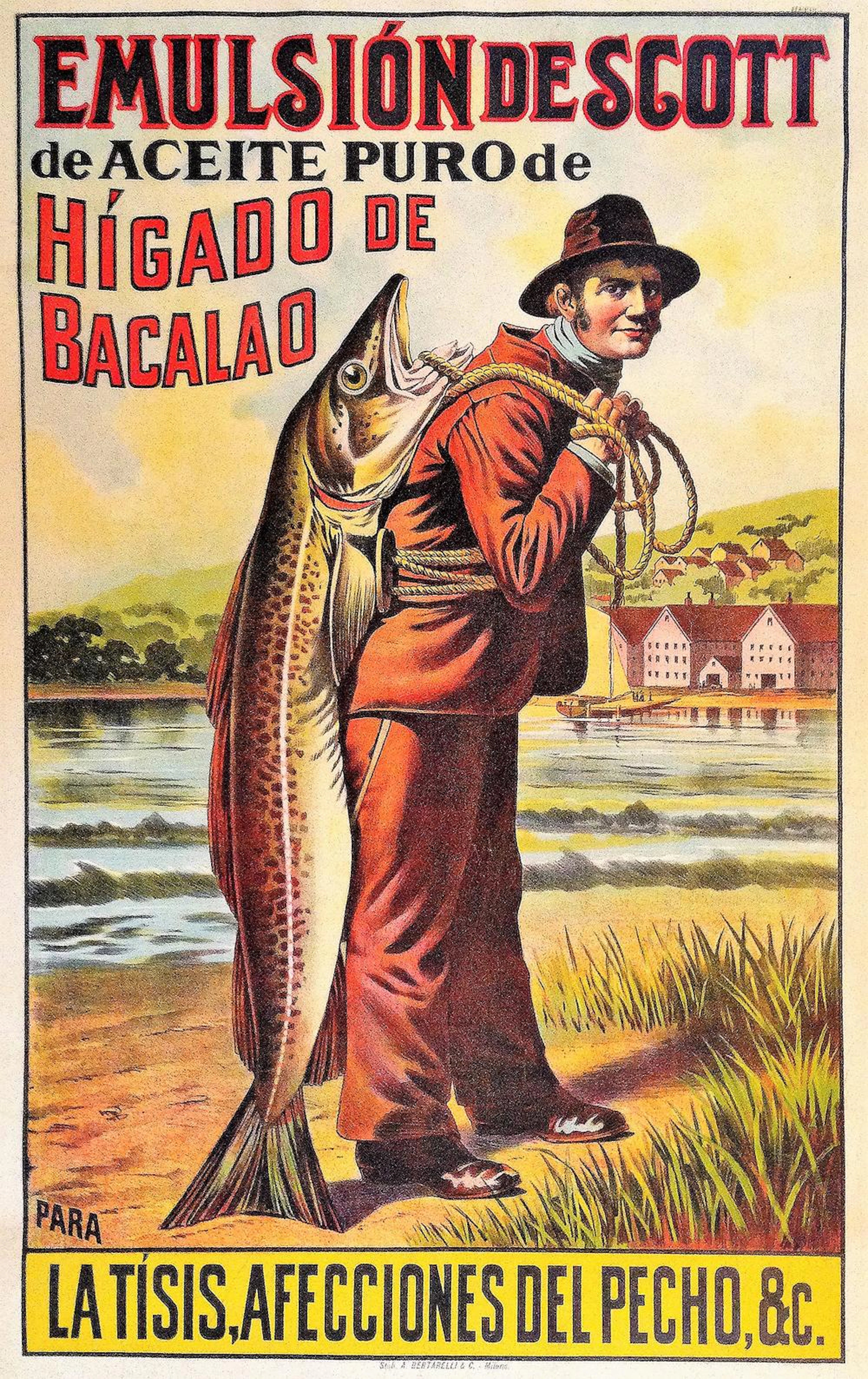 EMULSION DE SCOTT DE ACEITE PURO DE HIGADO DE BACALAO. Ca. 1920.