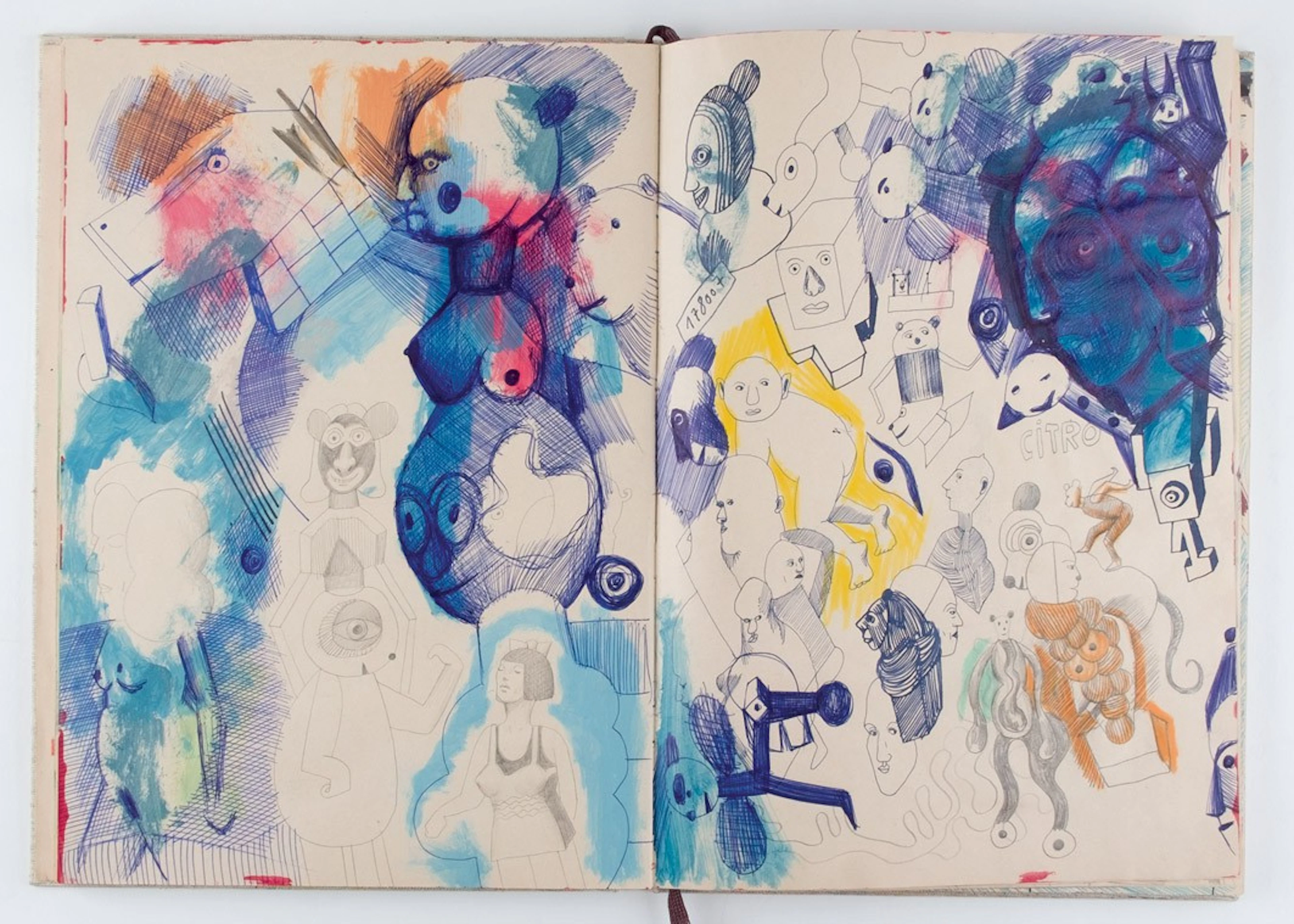 Javier Pagola. Libro de artista