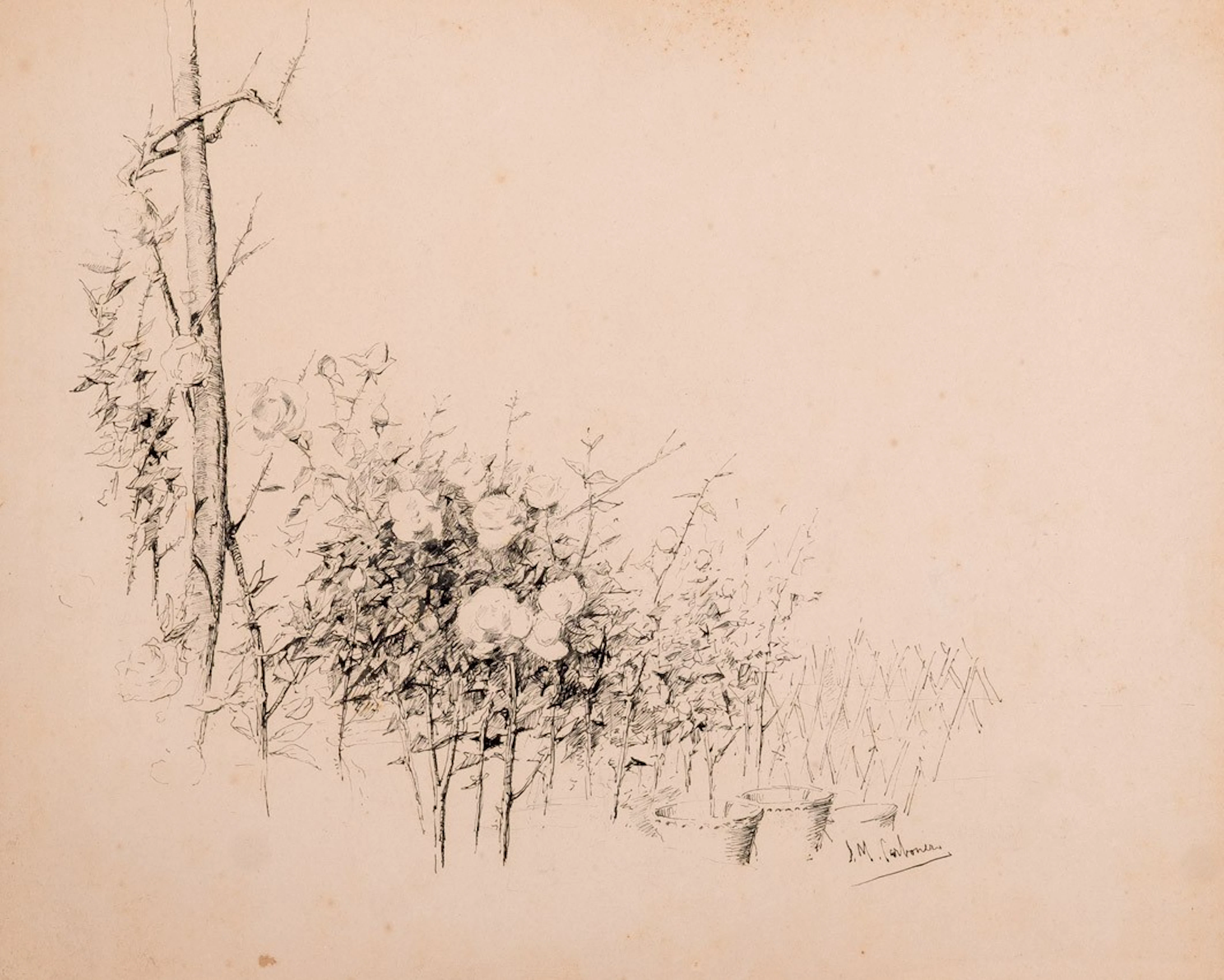 José Moreno Carbonero. El rosal