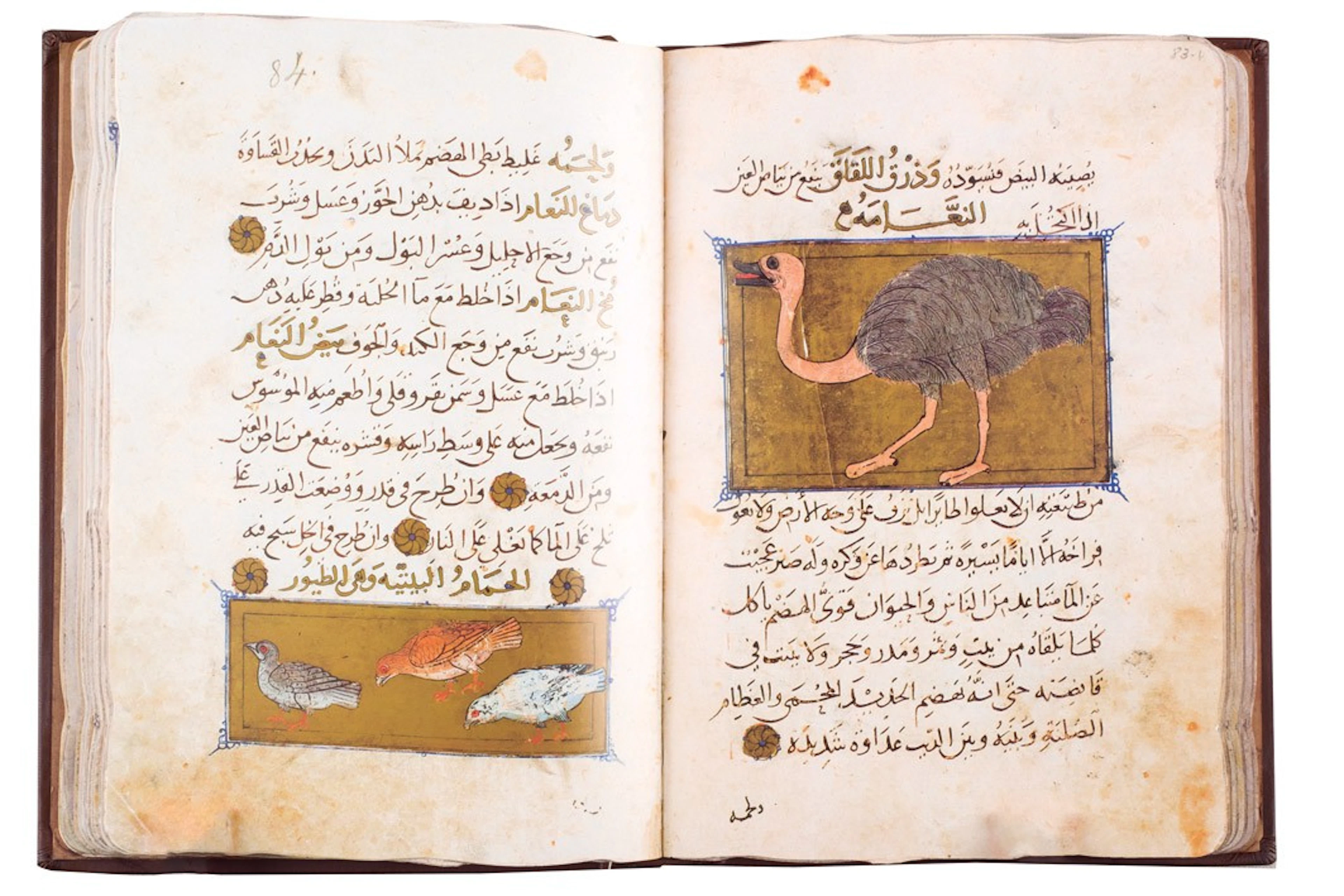 Libro de la utilidad de los animales