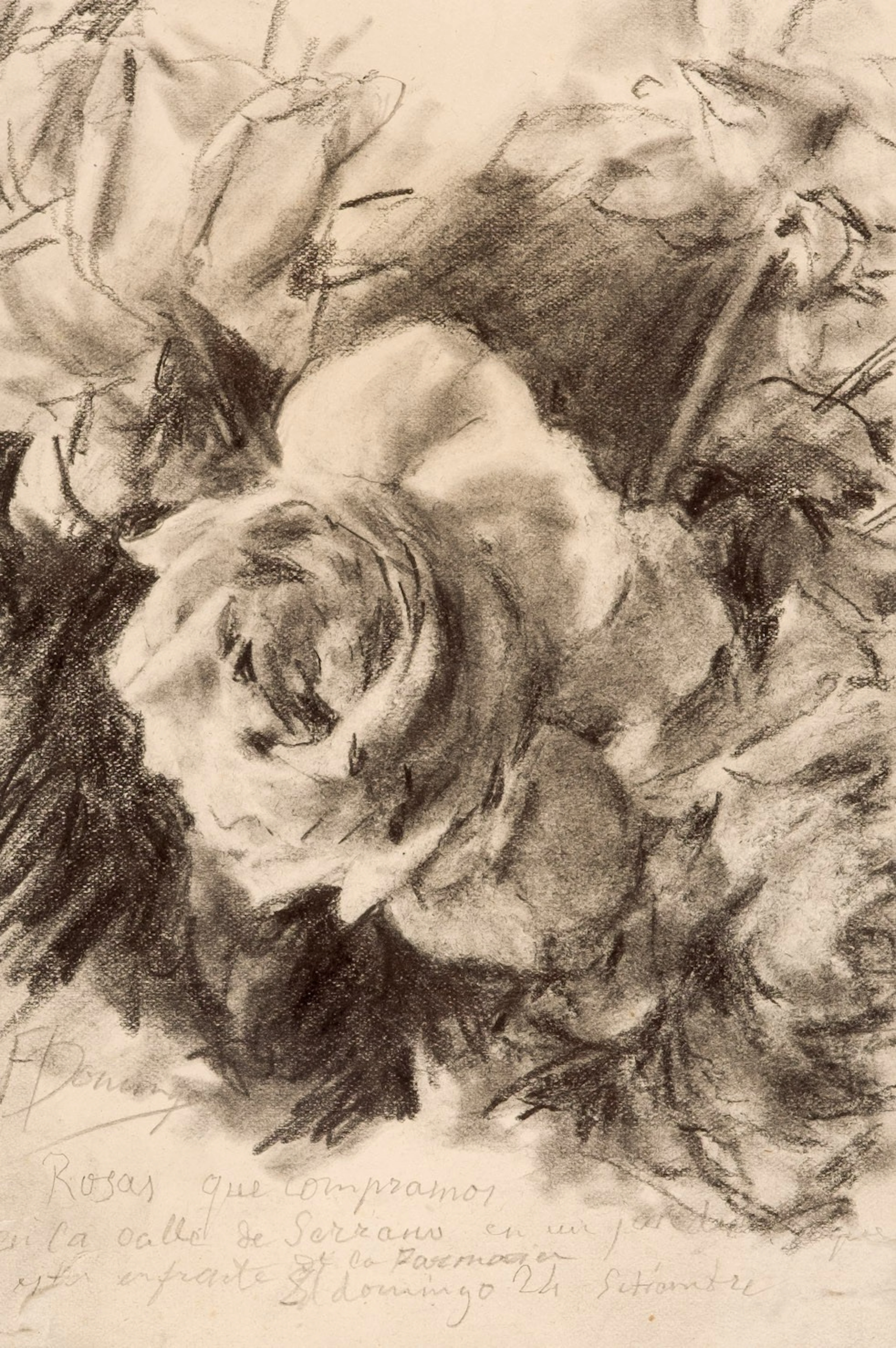 Francisco Domingo Marqués. Rosas