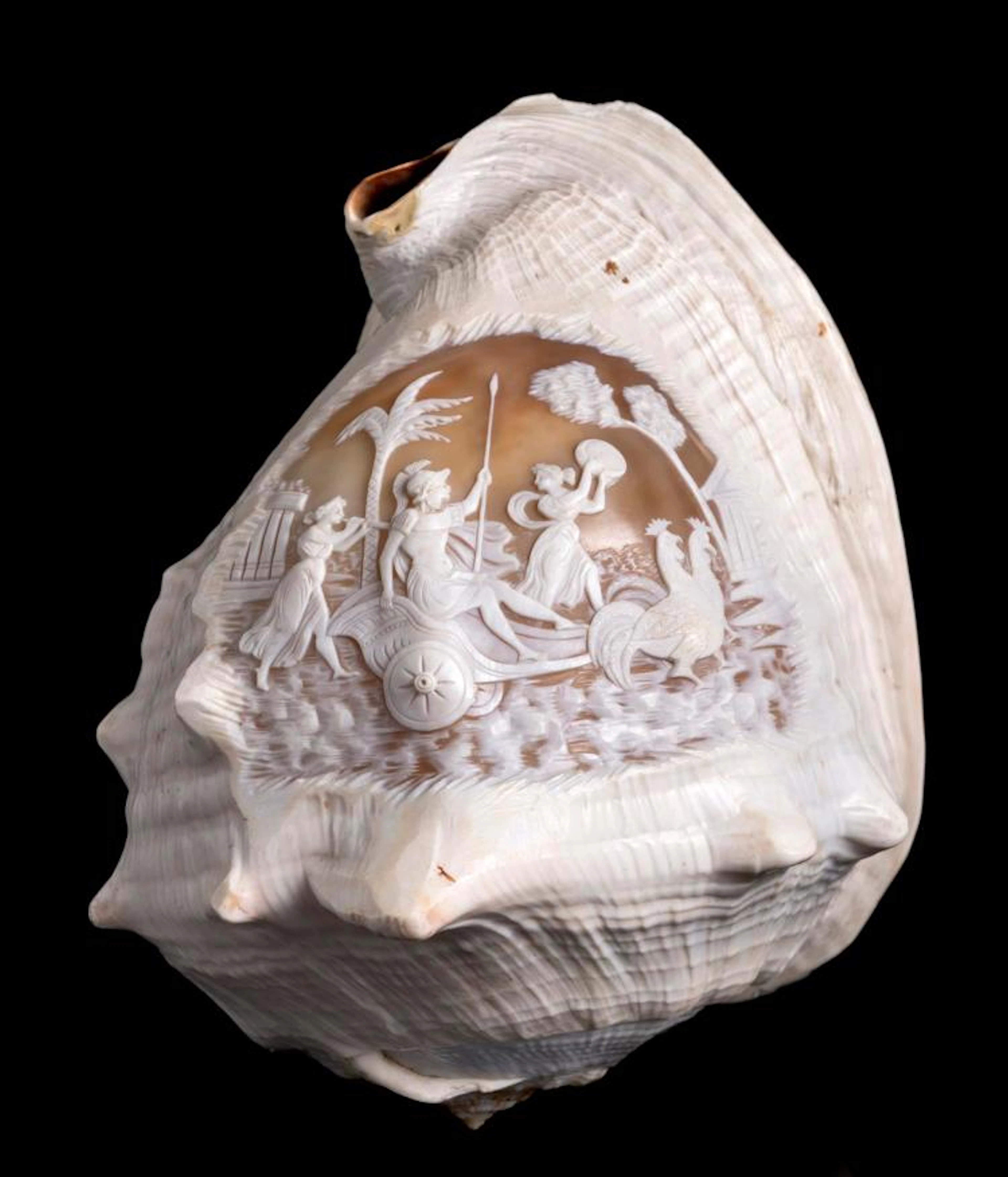 Coquillage gravé en camée d'une scène mythologique