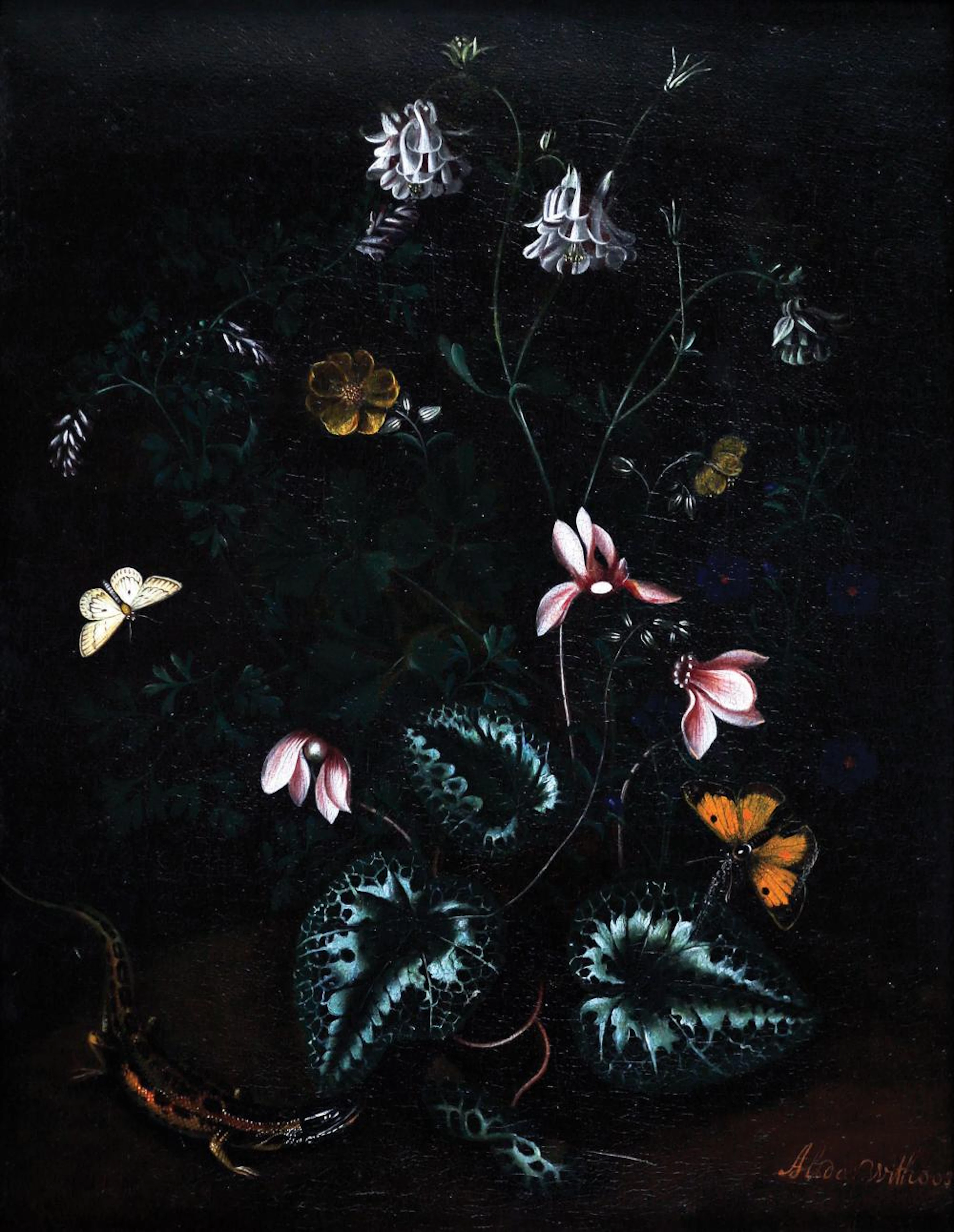 Withoos Oil Painting
