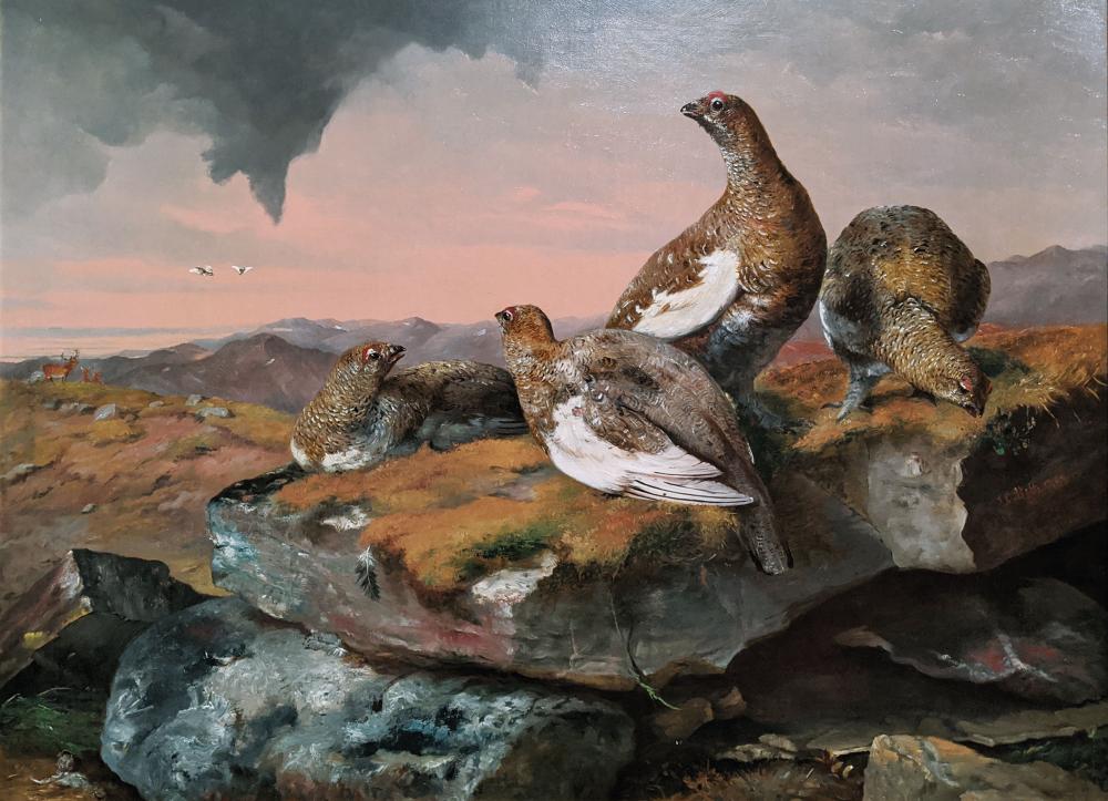 Bell Oil, Ptarmigans