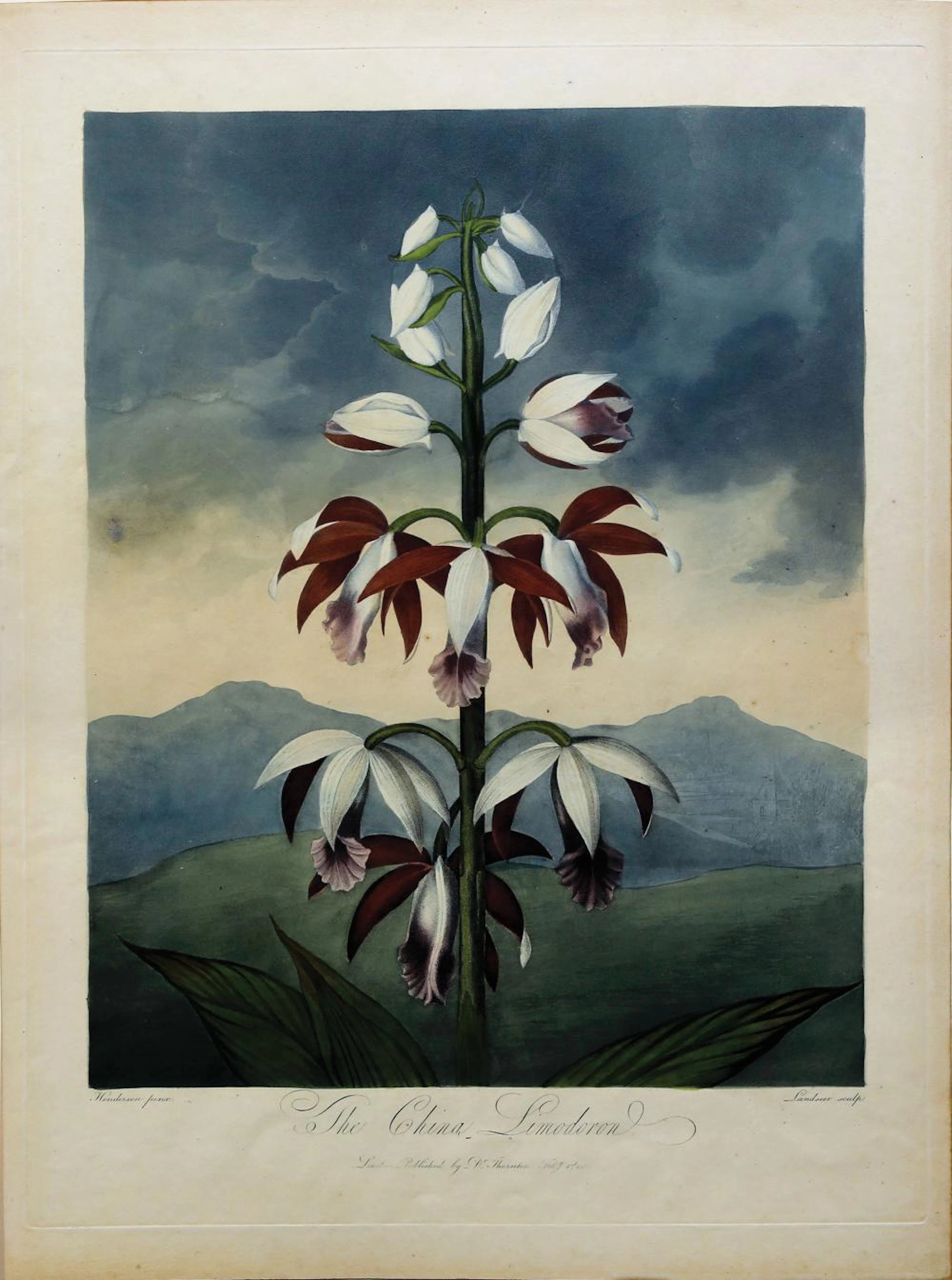 Thornton Aquatint, China Linodoron