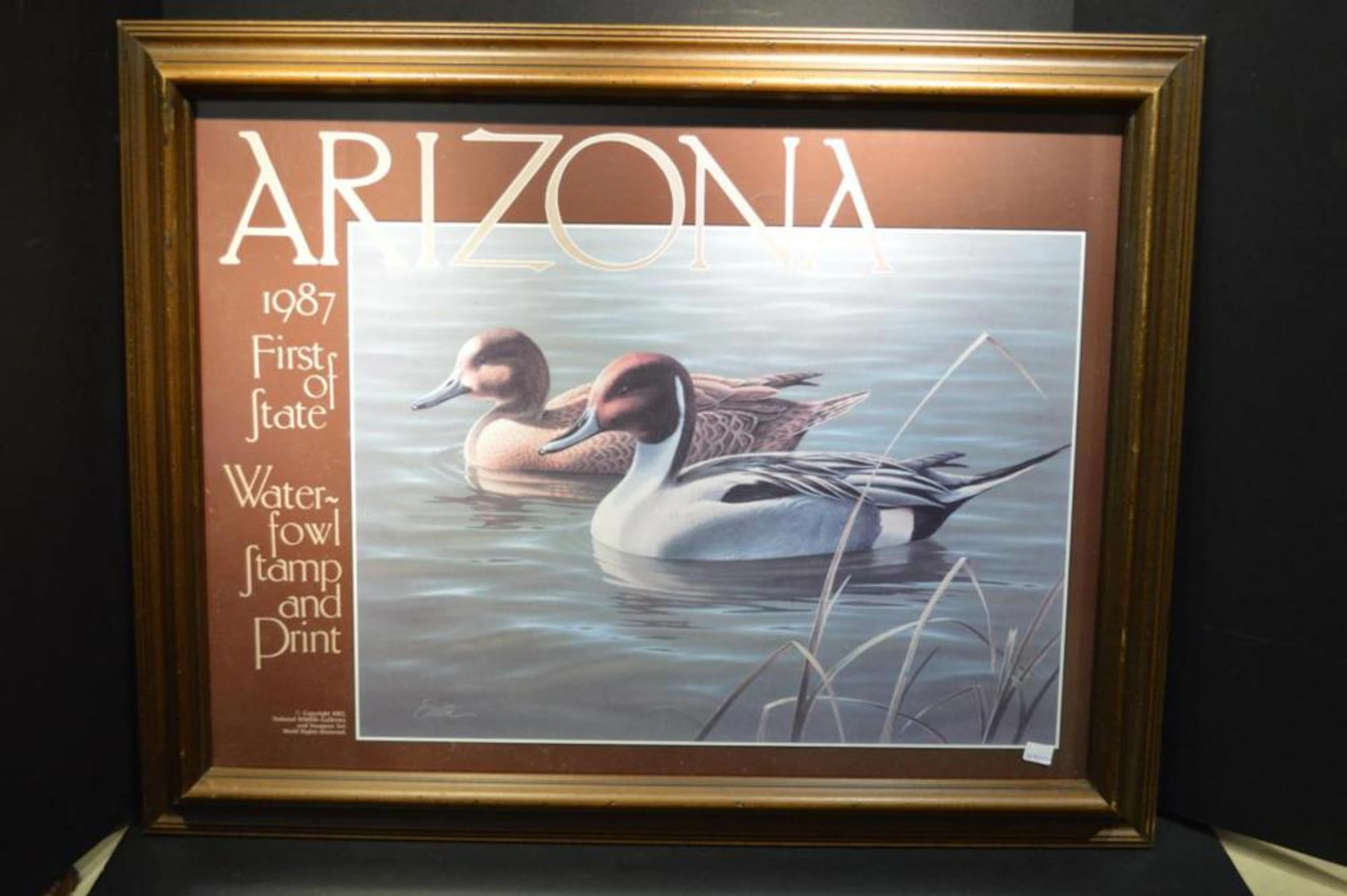 1987 Arizona Waterfowl State Stamp Framed Print